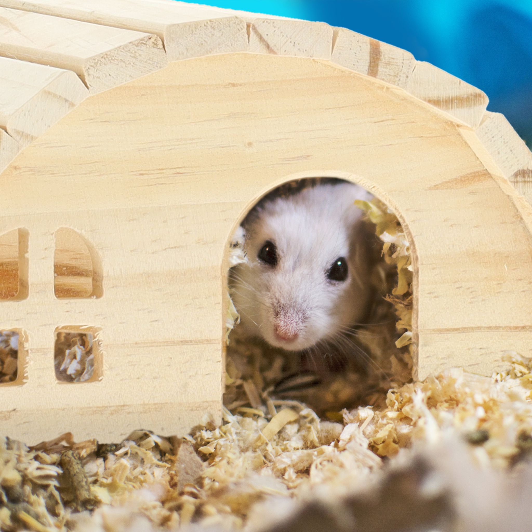 Hamsterhaus Holz Hellbraun von Relaxdays