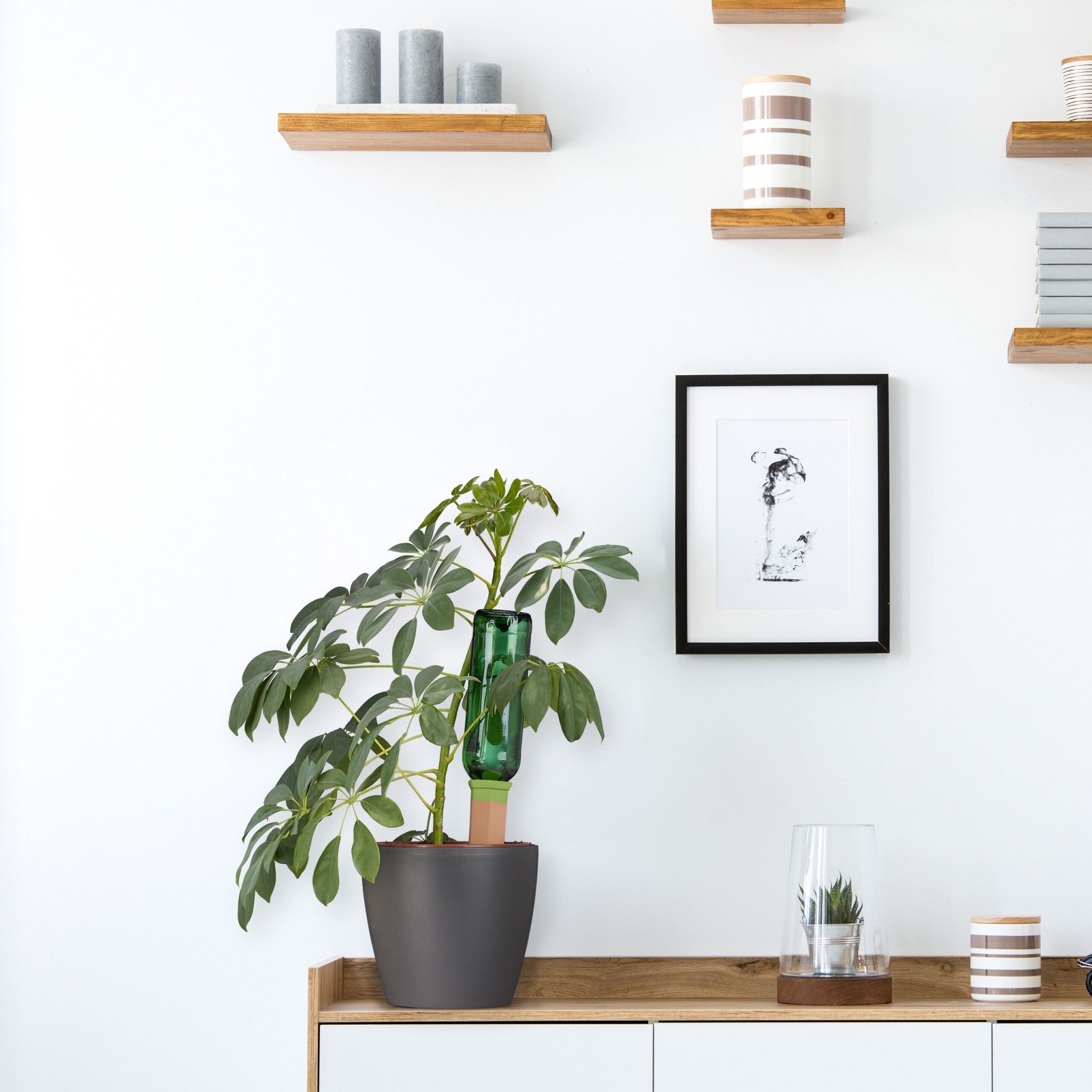 Tonspitzen Bewässerung 4er-Set Grün-Hellbraun von Relaxdays