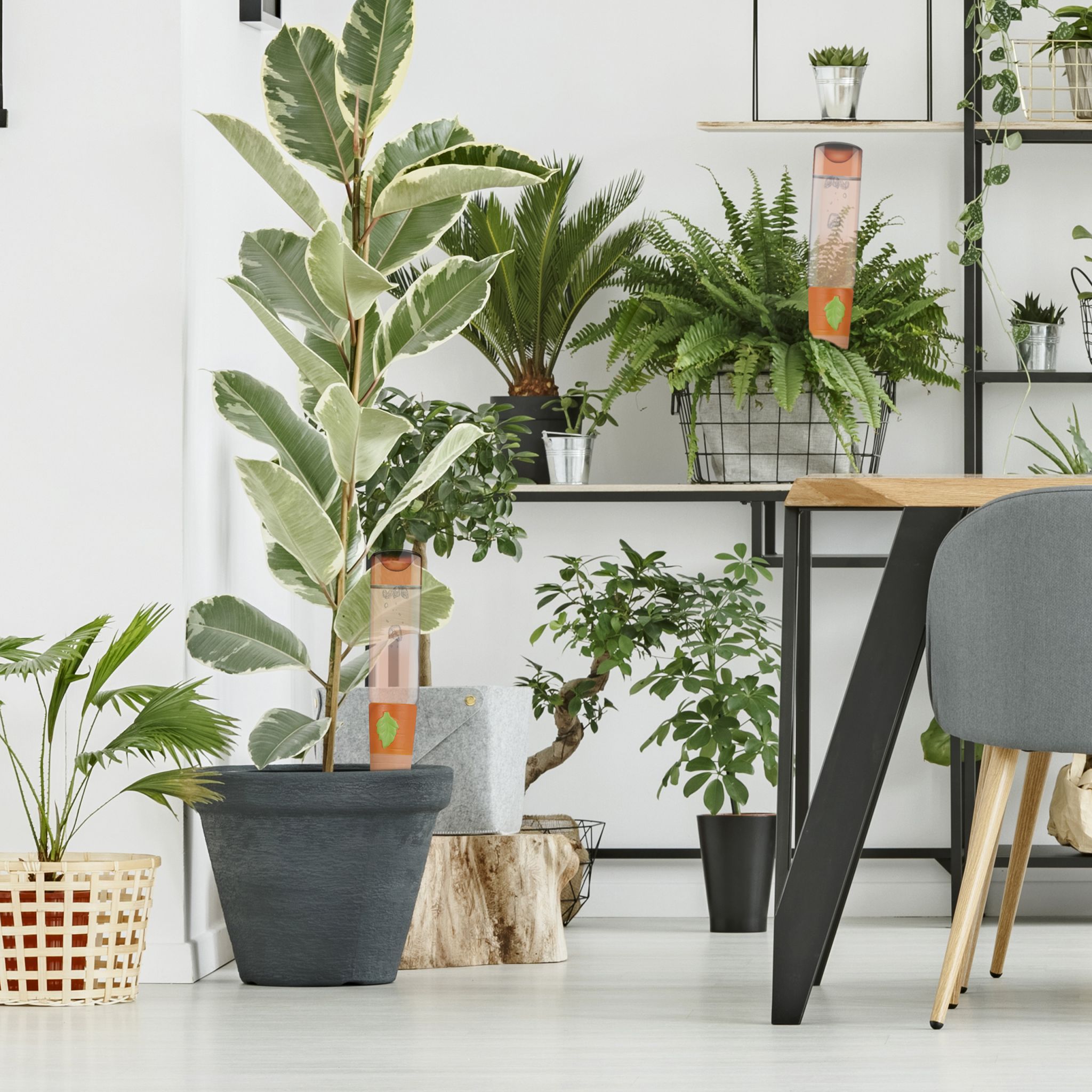 Tonspitzen Bewässerung 4er-Set gross Grün-Hellbraun-Orange von Relaxdays