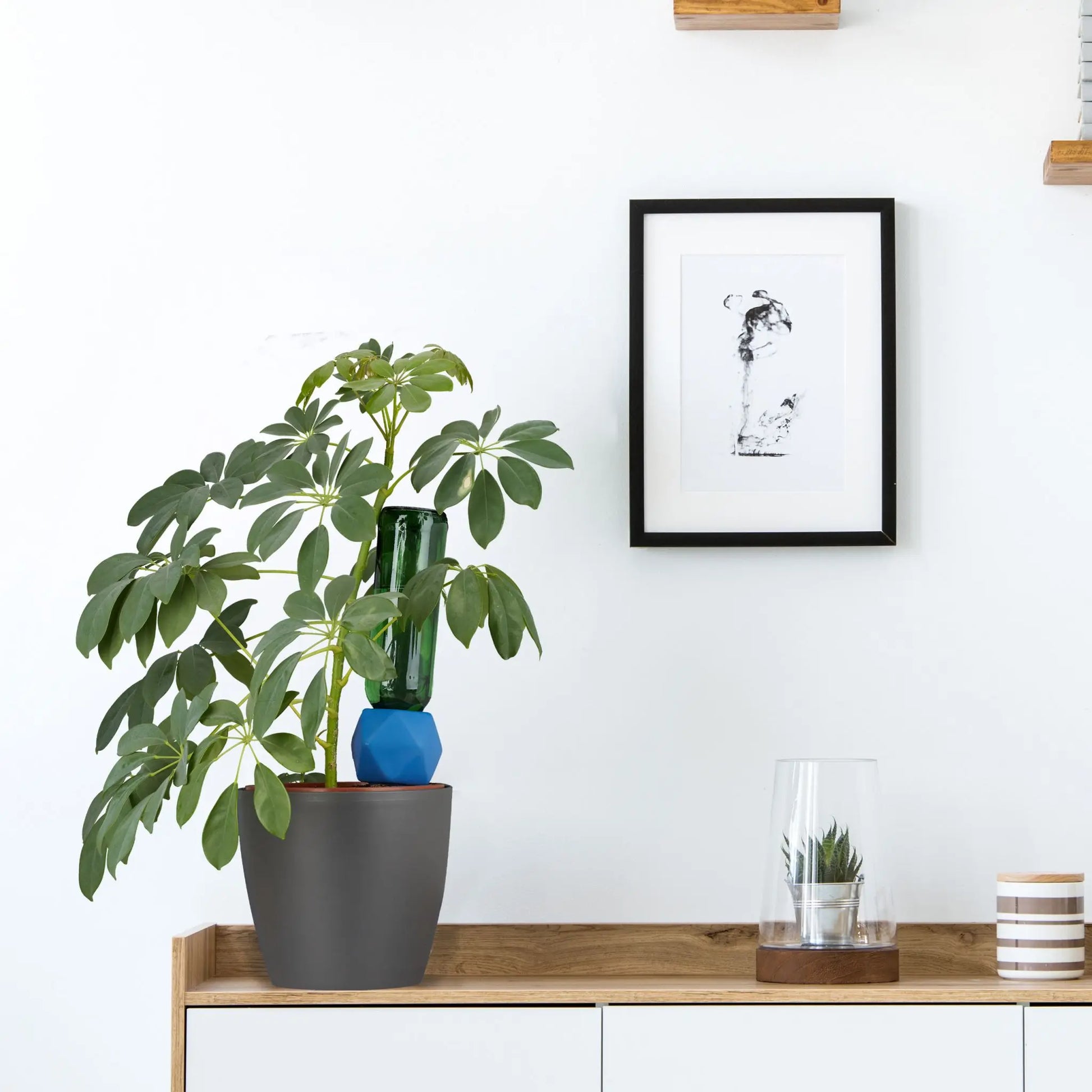 Tonspitzen Bewässerung blau 4er-Set Blau-Hellbraun von Relaxdays