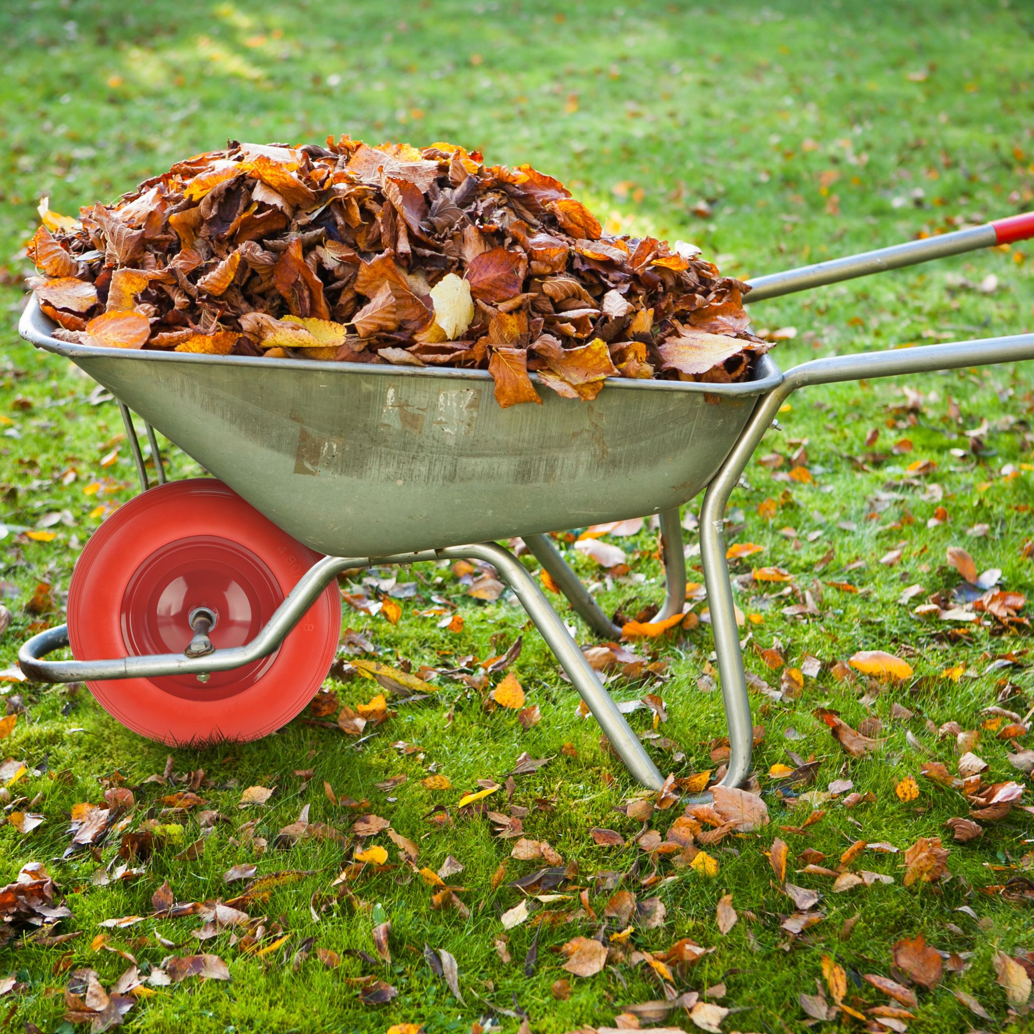 Schubkarrenrad 4.80 4.00-8 + Achse Rot-Schwarz von Relaxdays