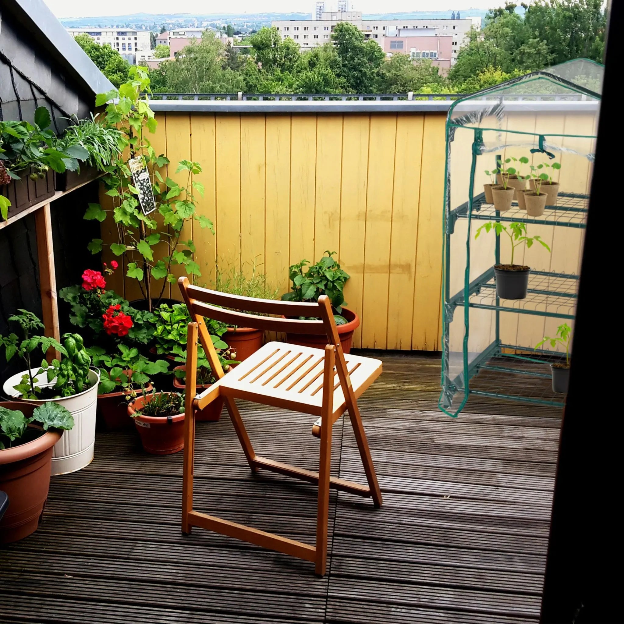 Balkon Gewächshaus mit PVC-Folie Dunkelgrün-Transparent von Relaxdays
