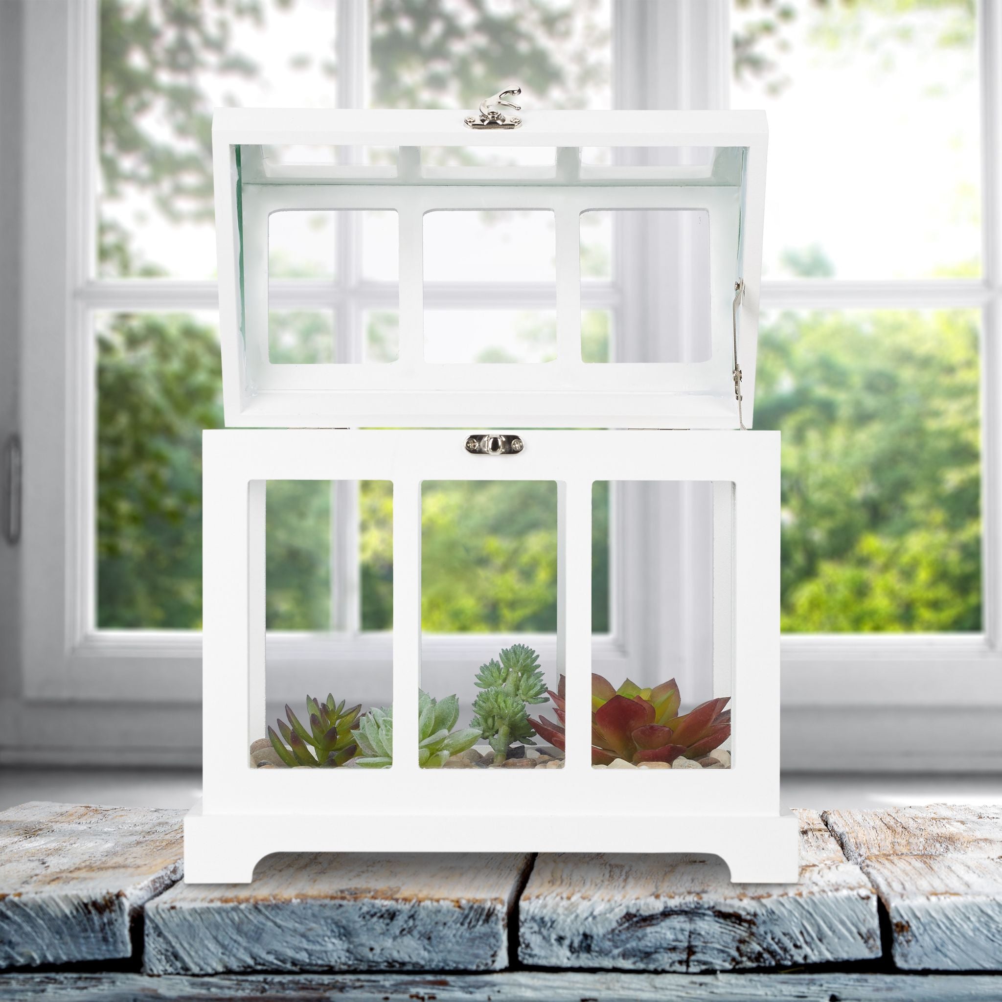 Mini Gewächshaus 2er-Set Indoor Weiss-Transparent von Relaxdays