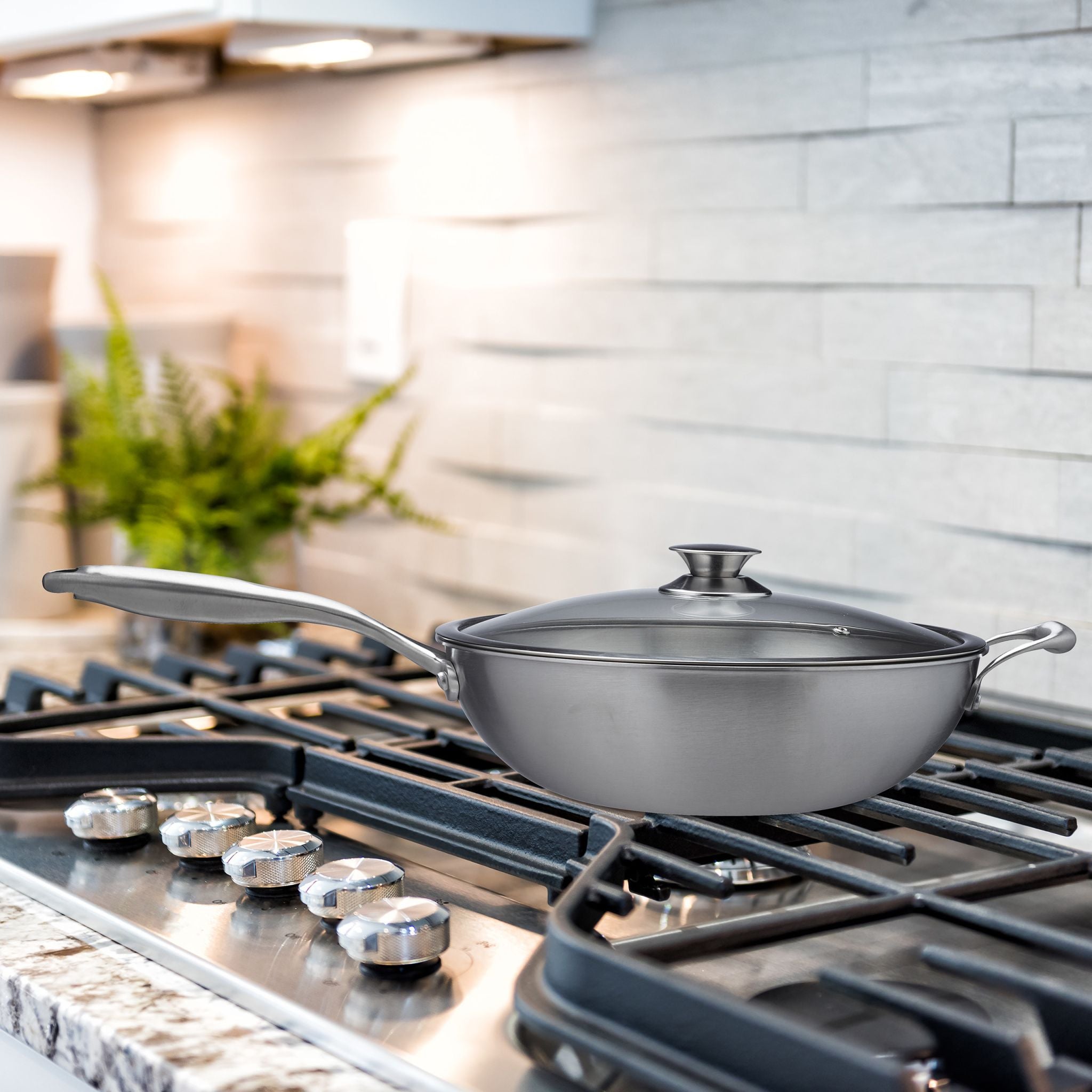 Edelstahl Wok mit Glasdeckel Silber-Transparent