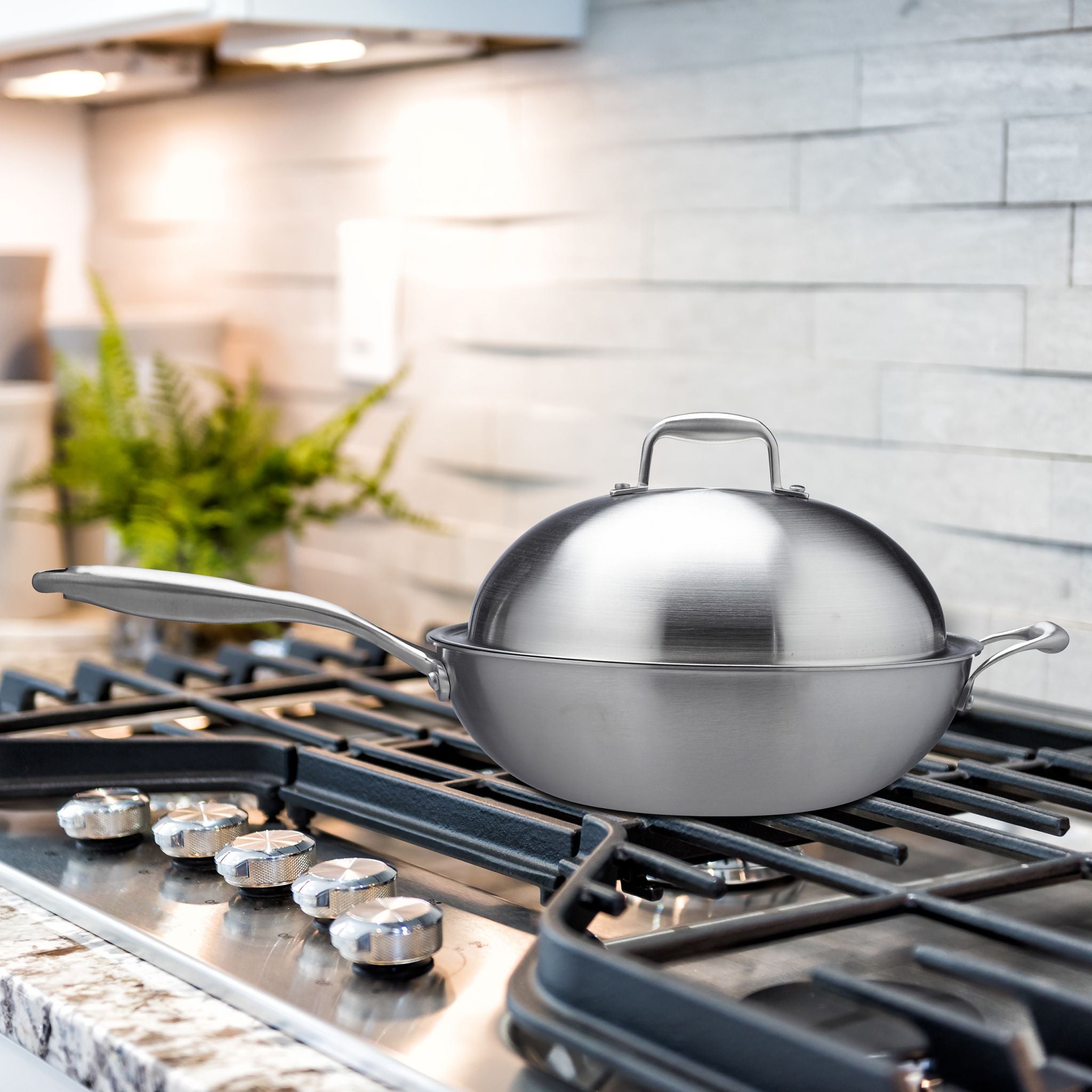Edelstahl Wok mit Deckel Silber
