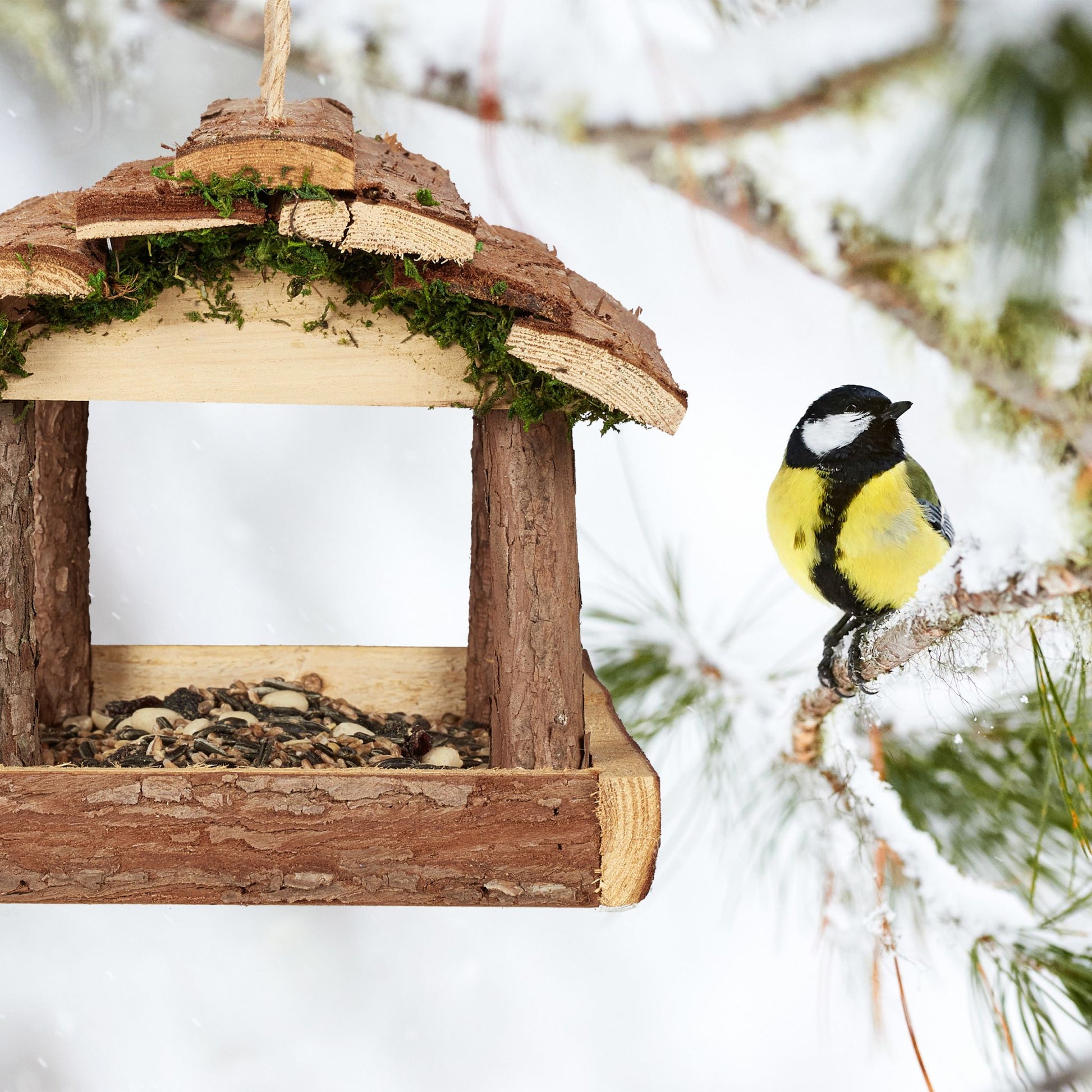 Vogelfutterhaus mit Rinde Braun von Relaxdays