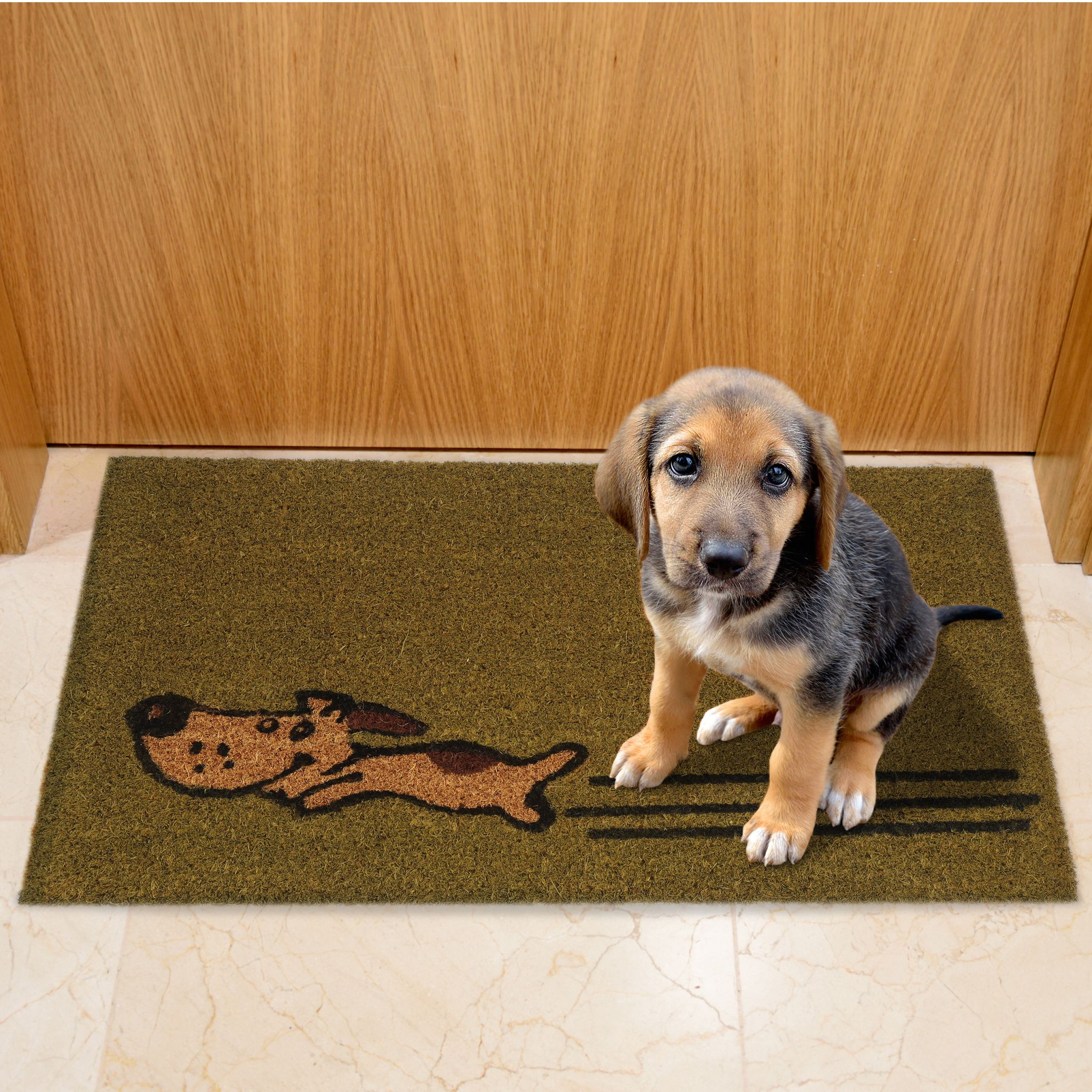 Fussmatte Kokos Hund Grün-Hellbraun-Schwarz von Relaxdays