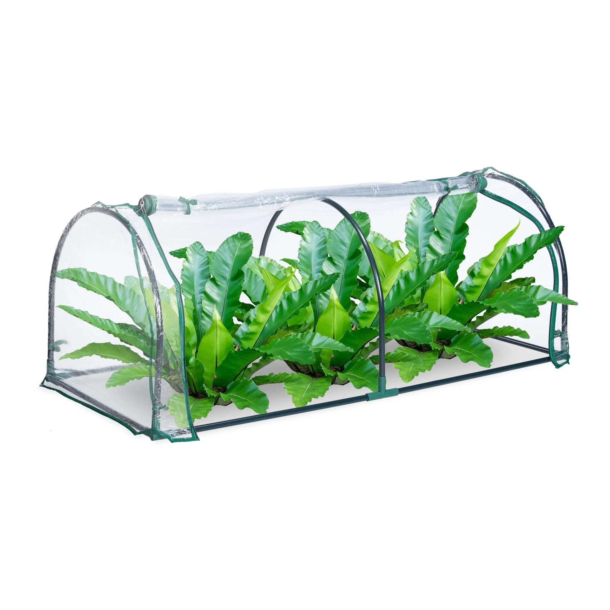 Foliengewächshaus Dunkelgrün-Transparent von Relaxdays