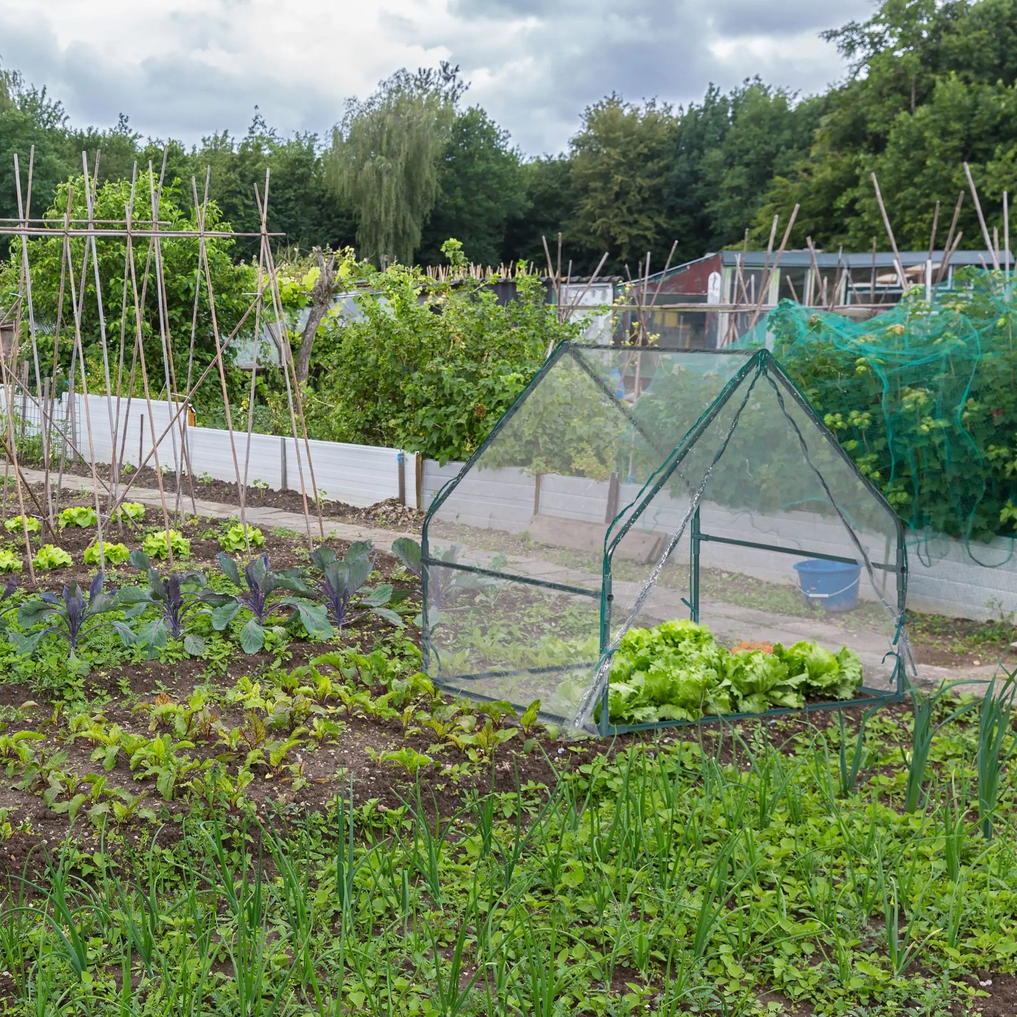 Folienfrühbeet PVC mit Tür Dunkelgrün-Transparent von Relaxdays