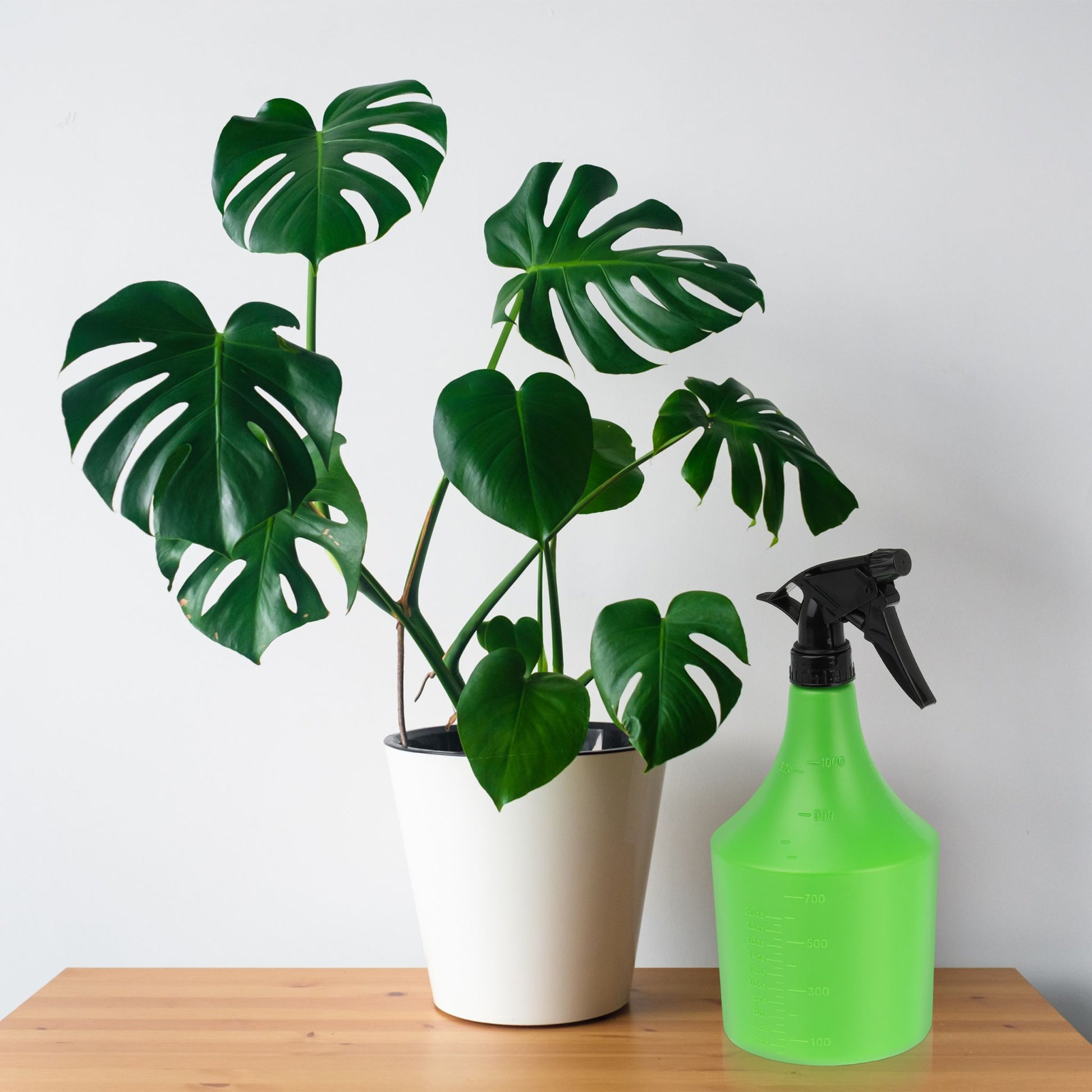 Sprühflasche 1L 2er-Set Grün-Schwarz von Relaxdays