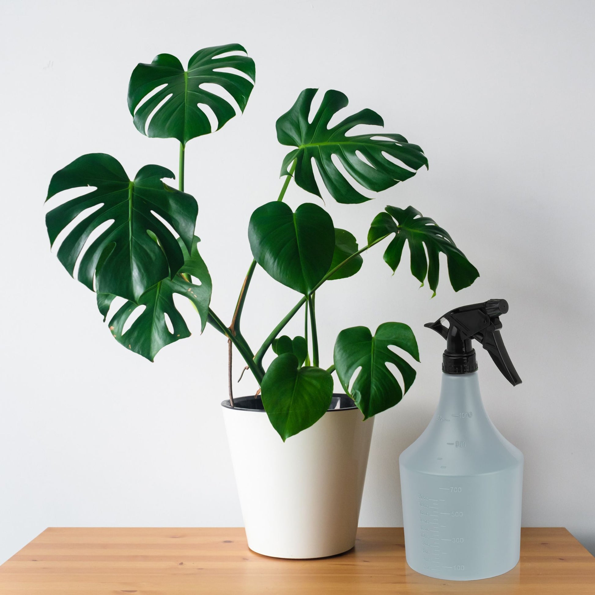 Sprühflasche 1 l 2er-Set Schwarz-Grau von Relaxdays