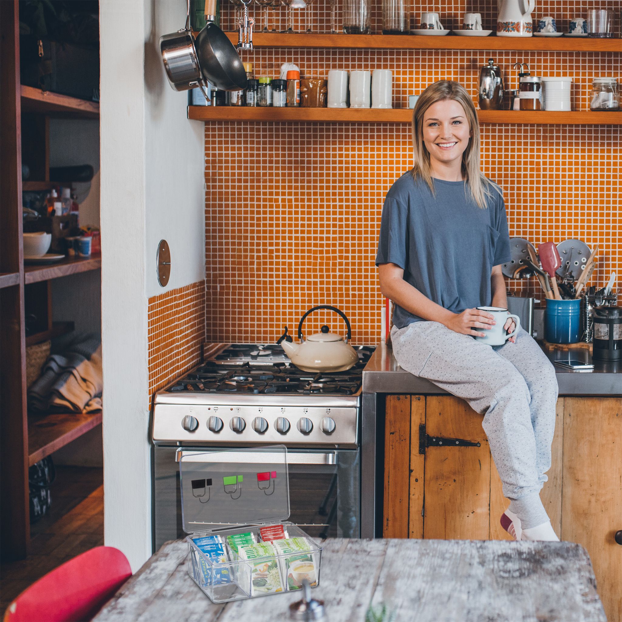 Teebox mit 6 Fächern Grün-Rot-Transparent von Relaxdays