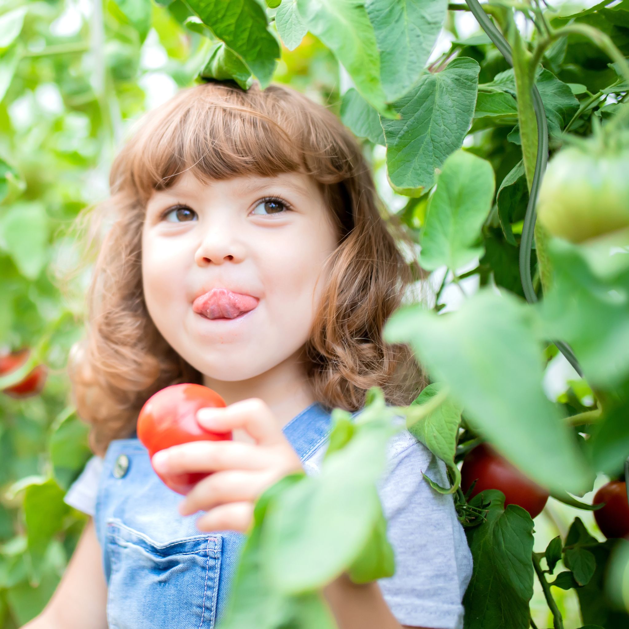 Spiralstab für Tomaten 20er-Set Dunkelgrün von Relaxdays