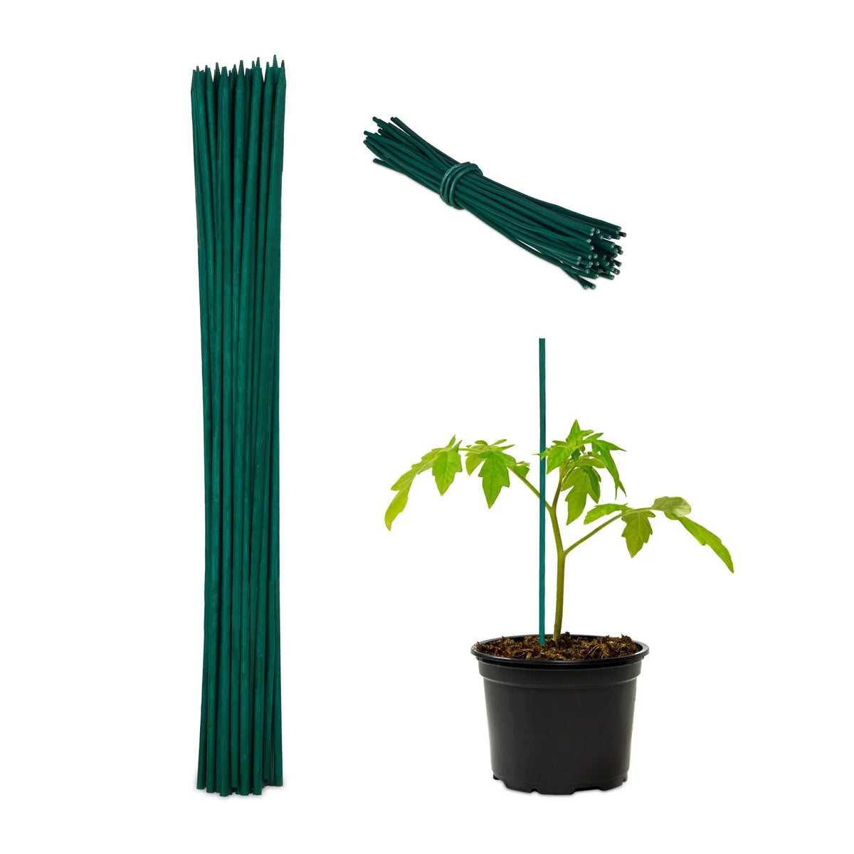Pflanzstäbe 30cm 50er-Set Dunkelgrün von Relaxdays