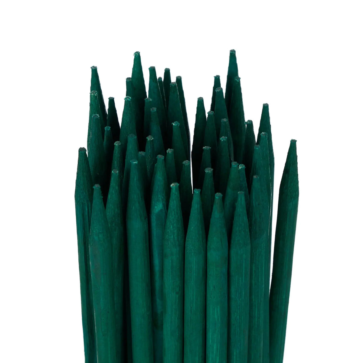 Pflanzstäbe 30cm 50er-Set Dunkelgrün von Relaxdays