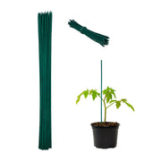 Pflanzenstab 60cm 50er-Set Dunkelgrün von Relaxdays