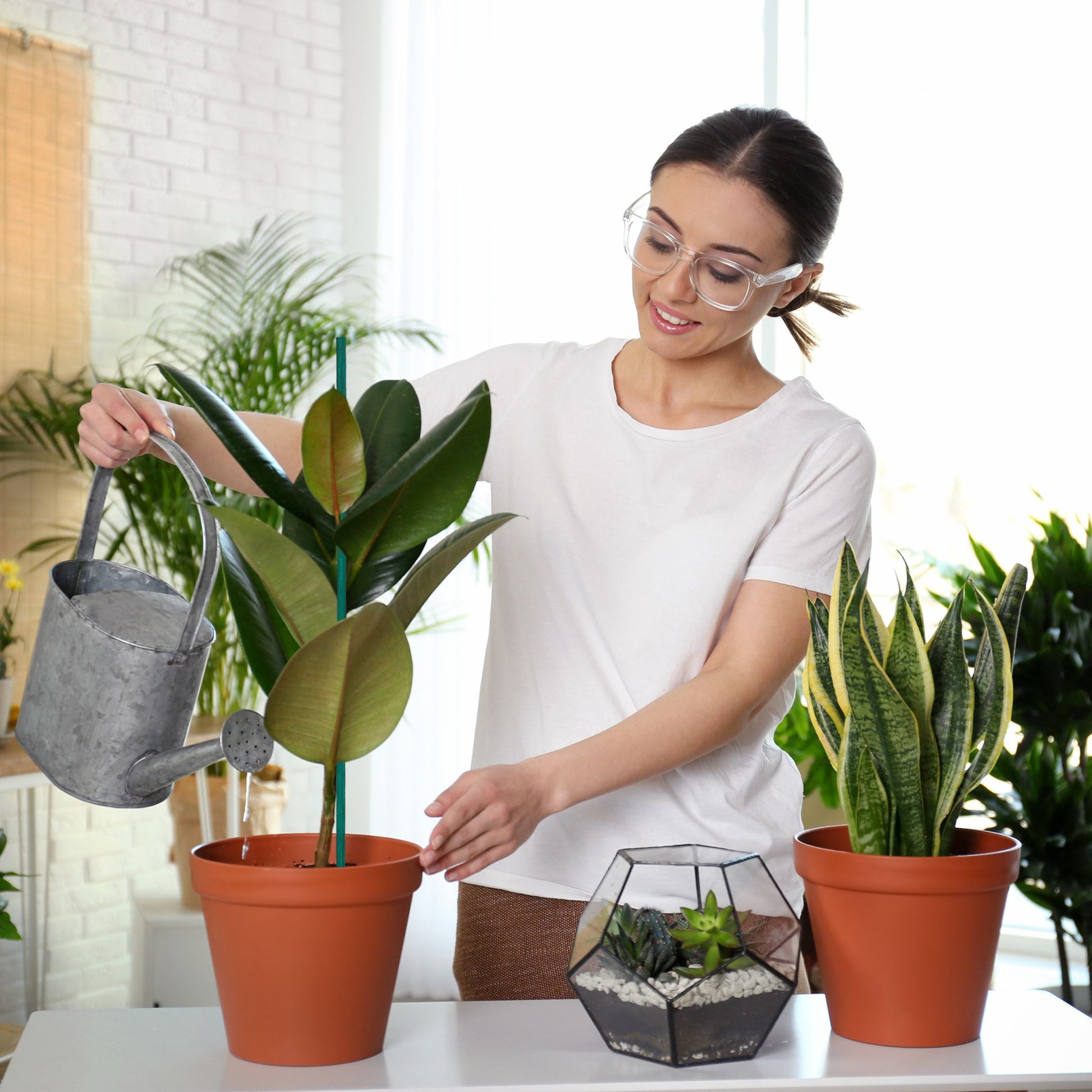 Pflanzenstab 60cm 50er-Set Dunkelgrün von Relaxdays