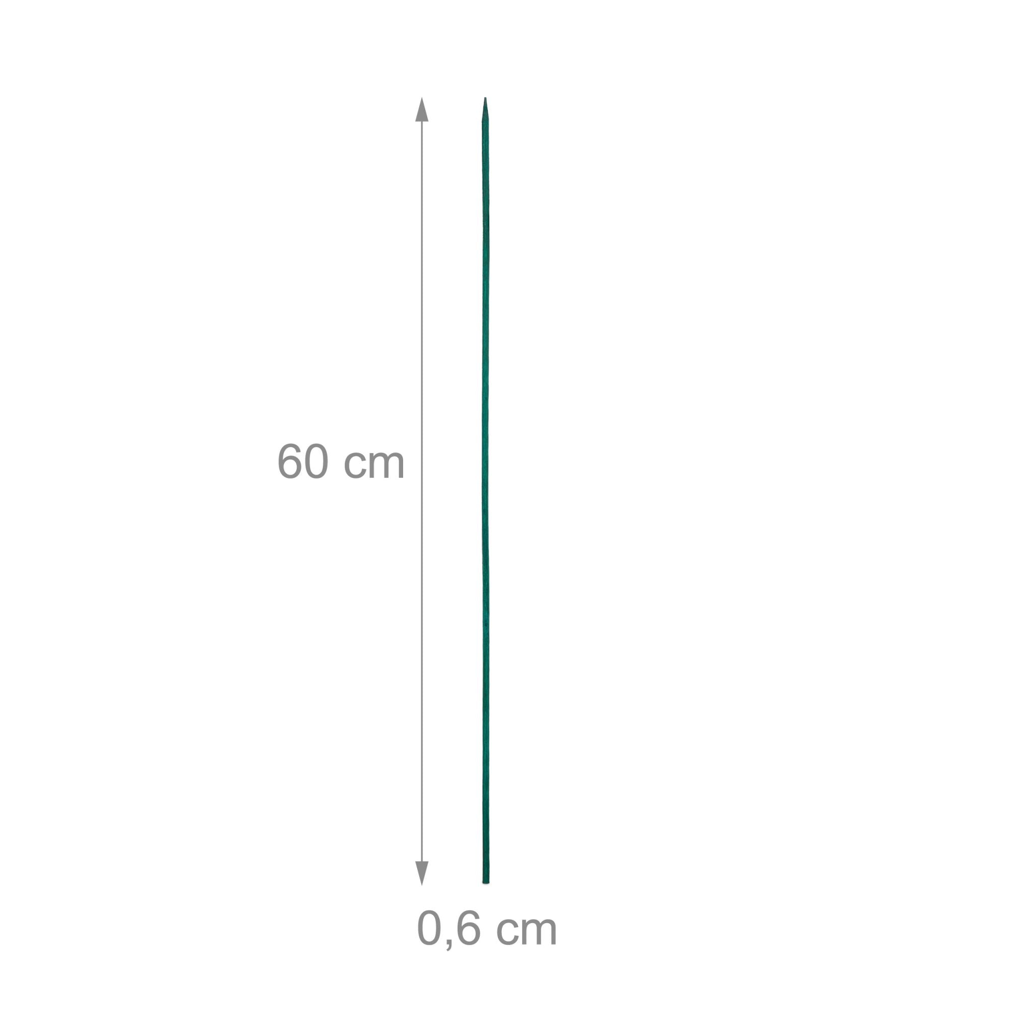 Pflanzenstab 60cm 50er-Set Dunkelgrün von Relaxdays