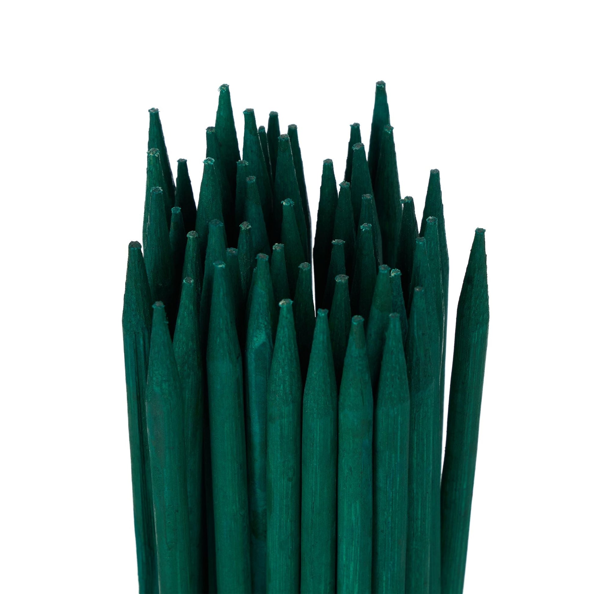 Pflanzenstab 60cm 50er-Set Dunkelgrün von Relaxdays
