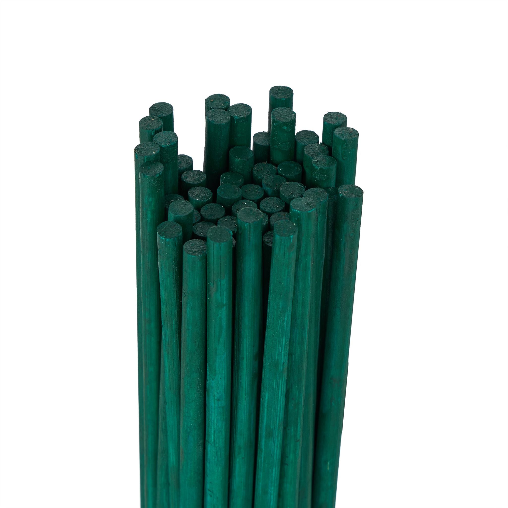 Pflanzenstab 60cm 50er-Set Dunkelgrün von Relaxdays