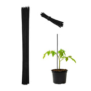 Pflanzenstab 60cm 50er-Set Schwarz von Relaxdays