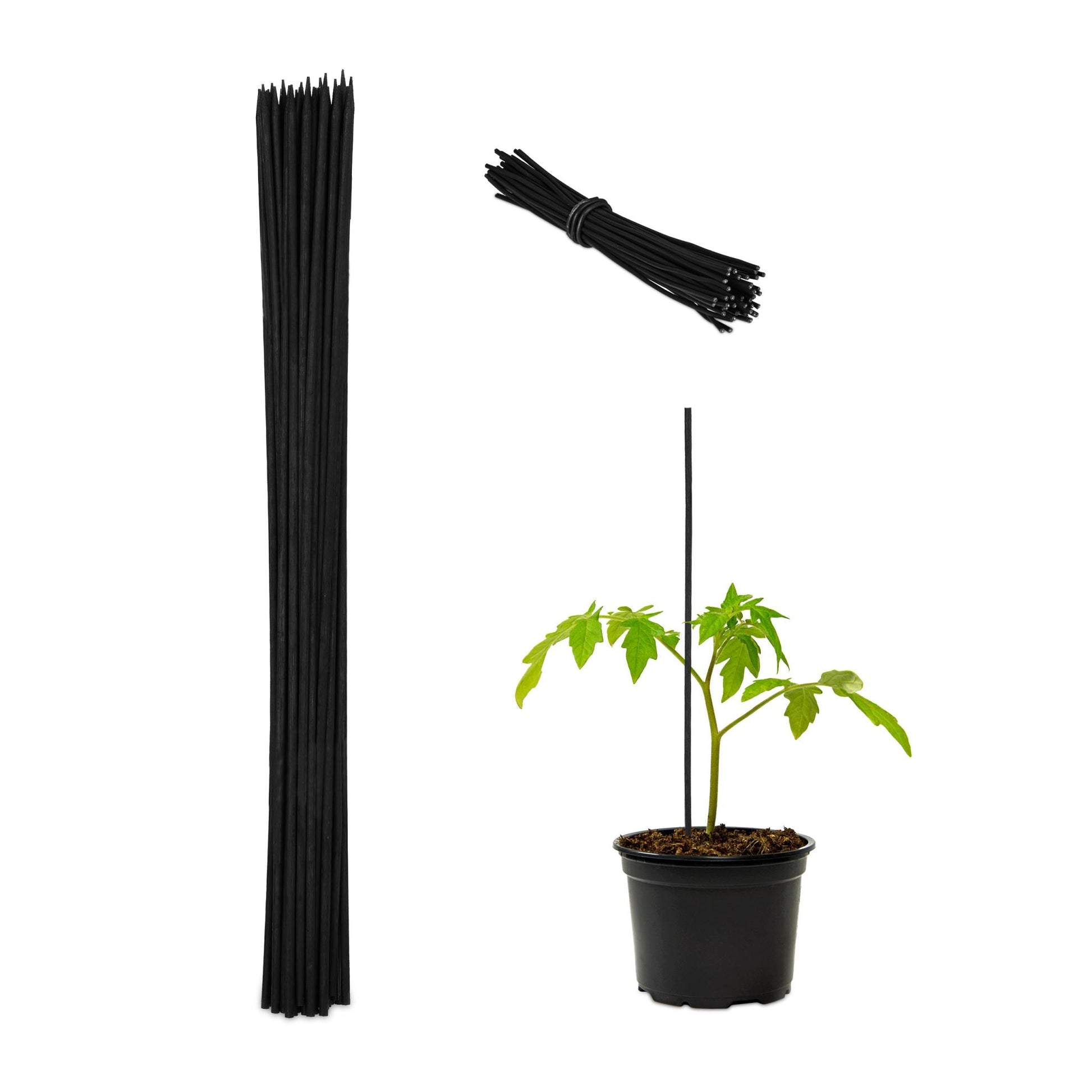 Pflanzenstab 60cm 50er-Set Schwarz von Relaxdays