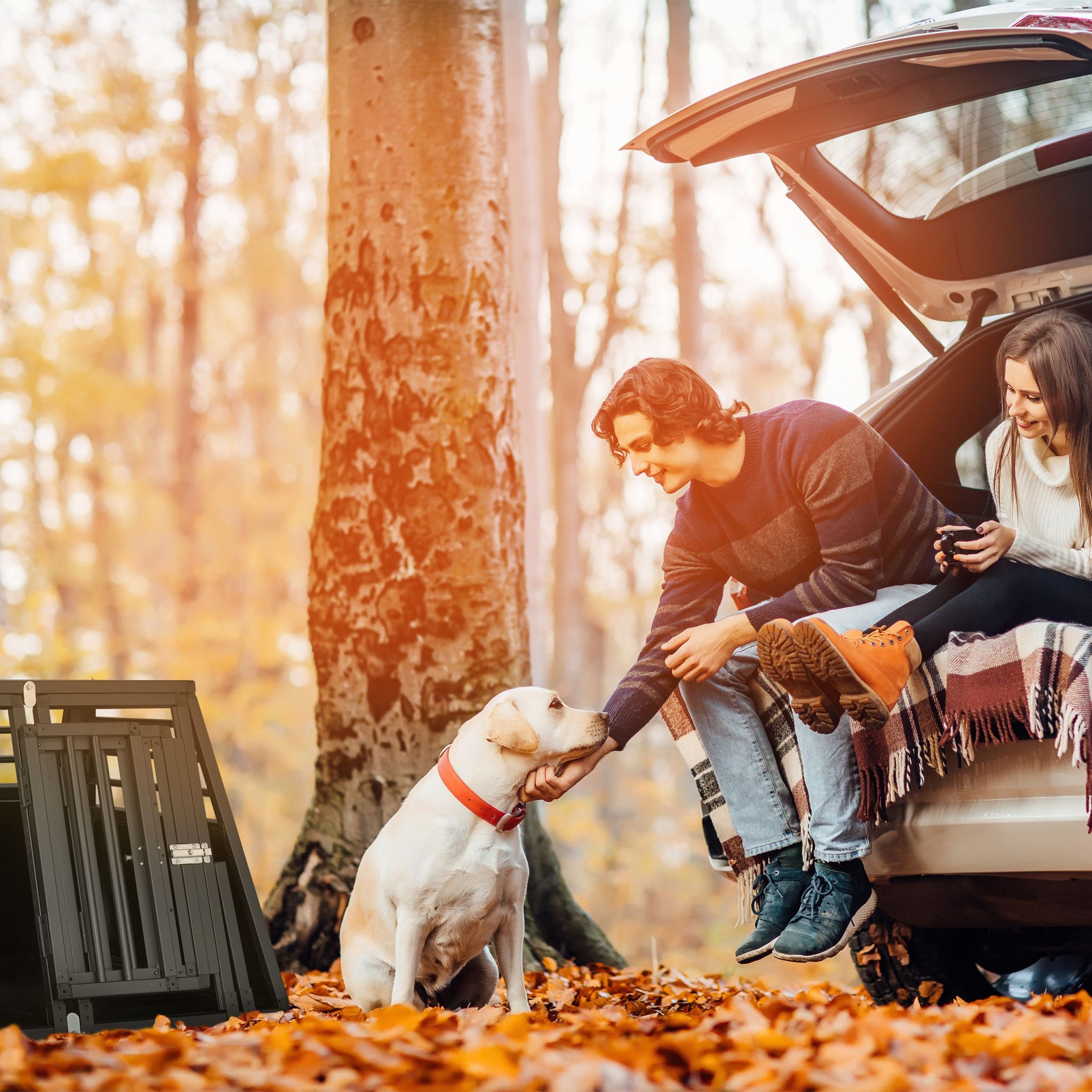 Hundebox Auto mit Trennwand Schwarz von Relaxdays