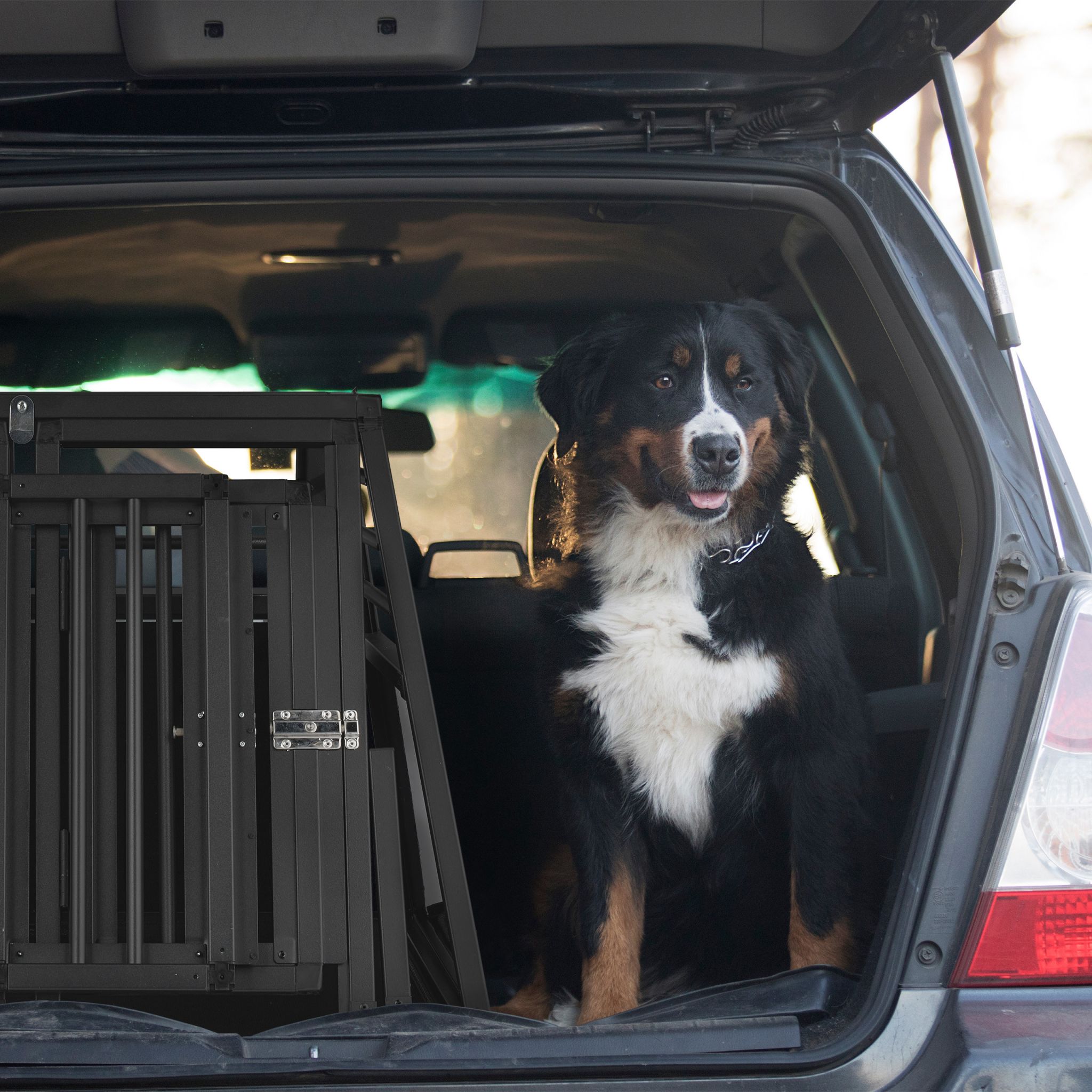 Hundebox Auto mit Trennwand Schwarz von Relaxdays