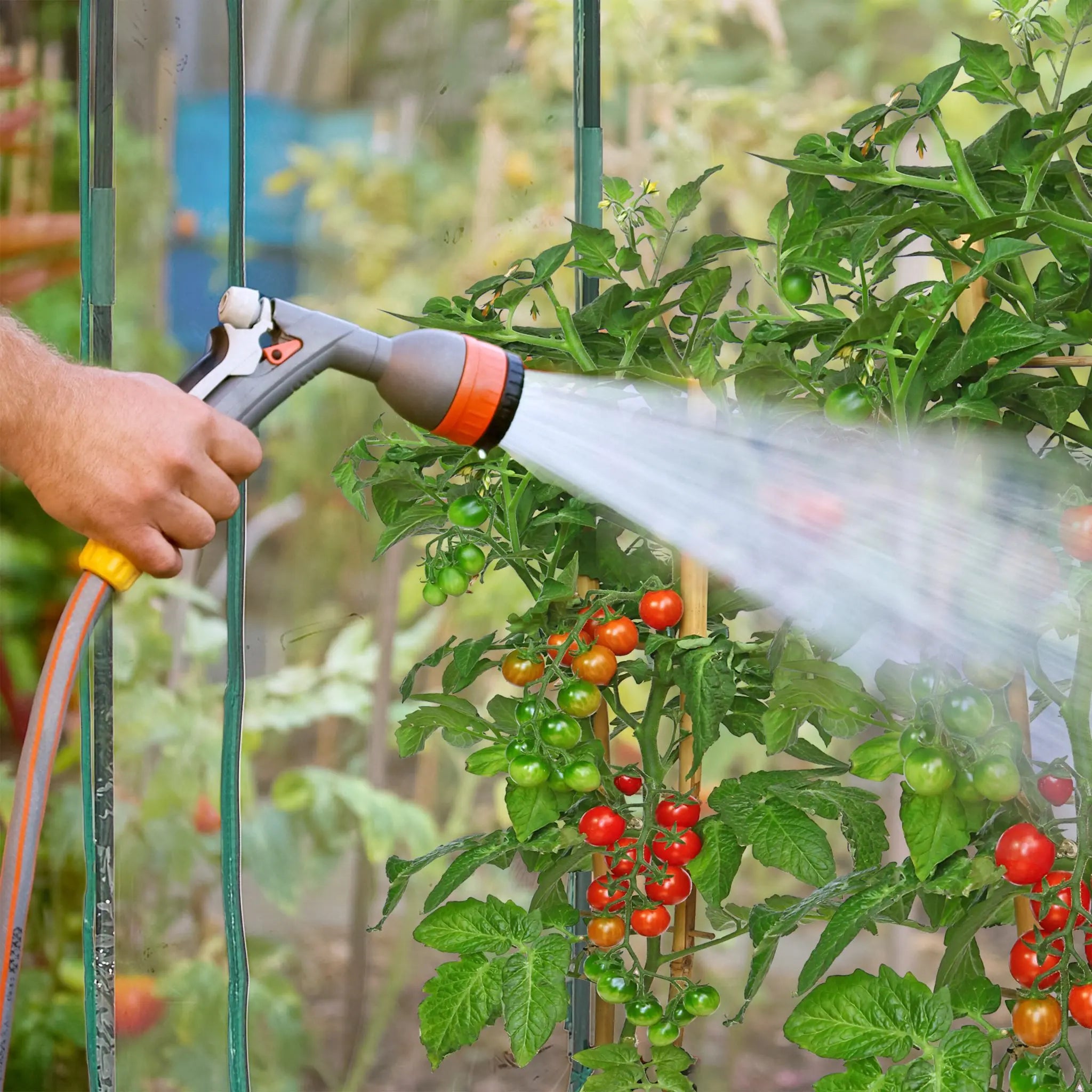 Tomatengewächshaus mit PVC-Folie Dunkelgrün-Transparent von Relaxdays