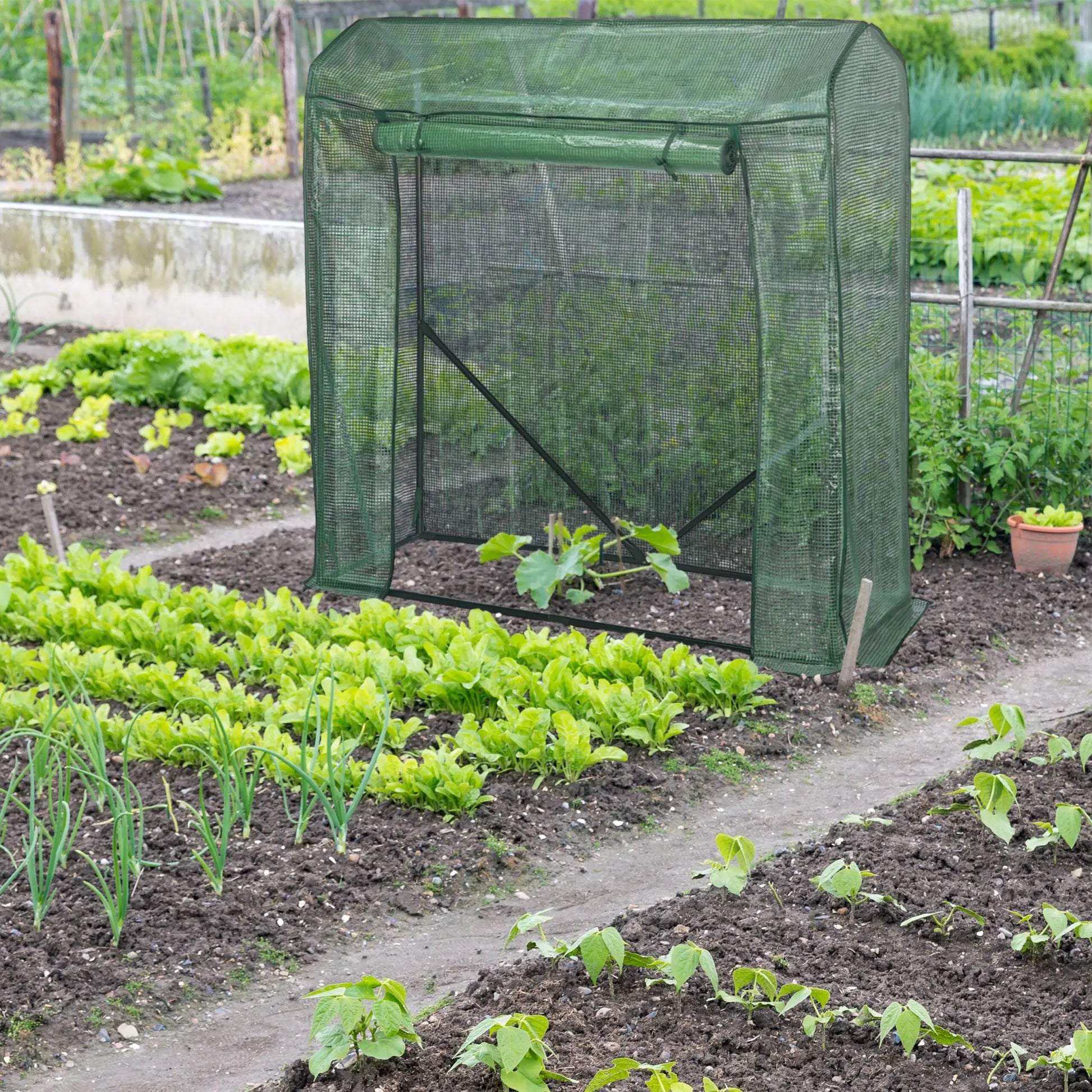 Tomaten Gewächshaus mit PE-Folie Dunkelgrün-Grün von Relaxdays