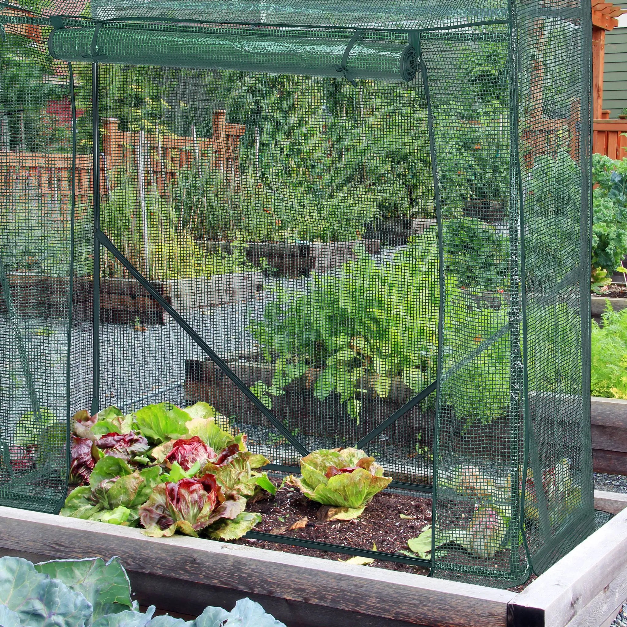 Tomaten Gewächshaus mit PE-Folie Dunkelgrün-Grün von Relaxdays