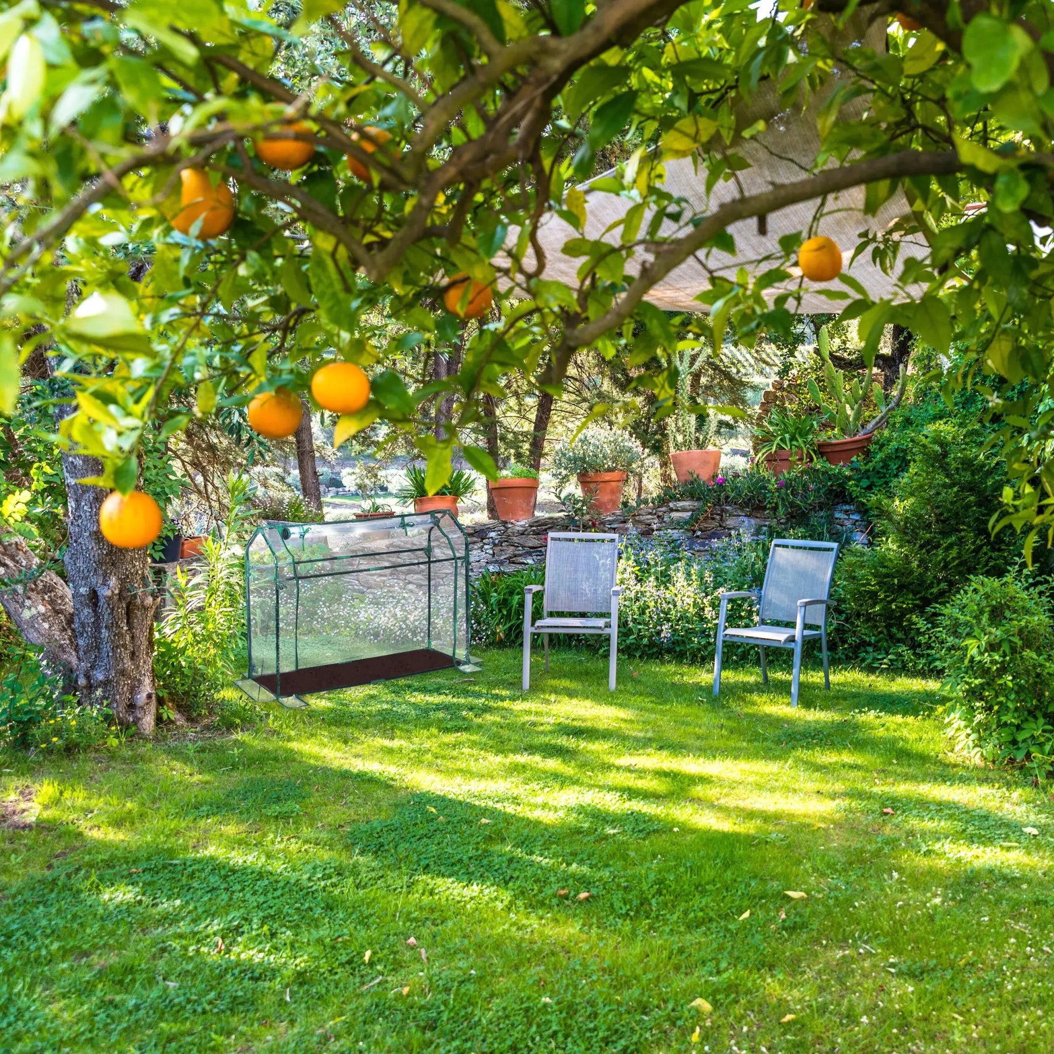 Foliengewächshaus PVC Dunkelgrün-Transparent von Relaxdays