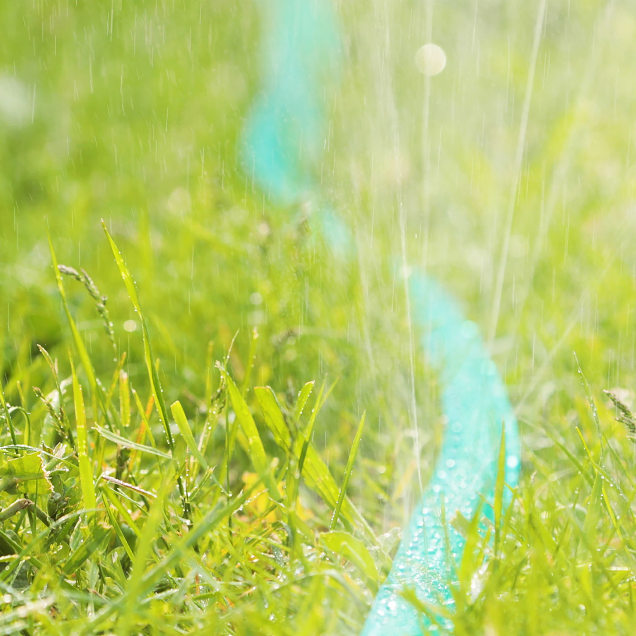 Flacher Bewässerungsschlauch 5 m Grün von Relaxdays