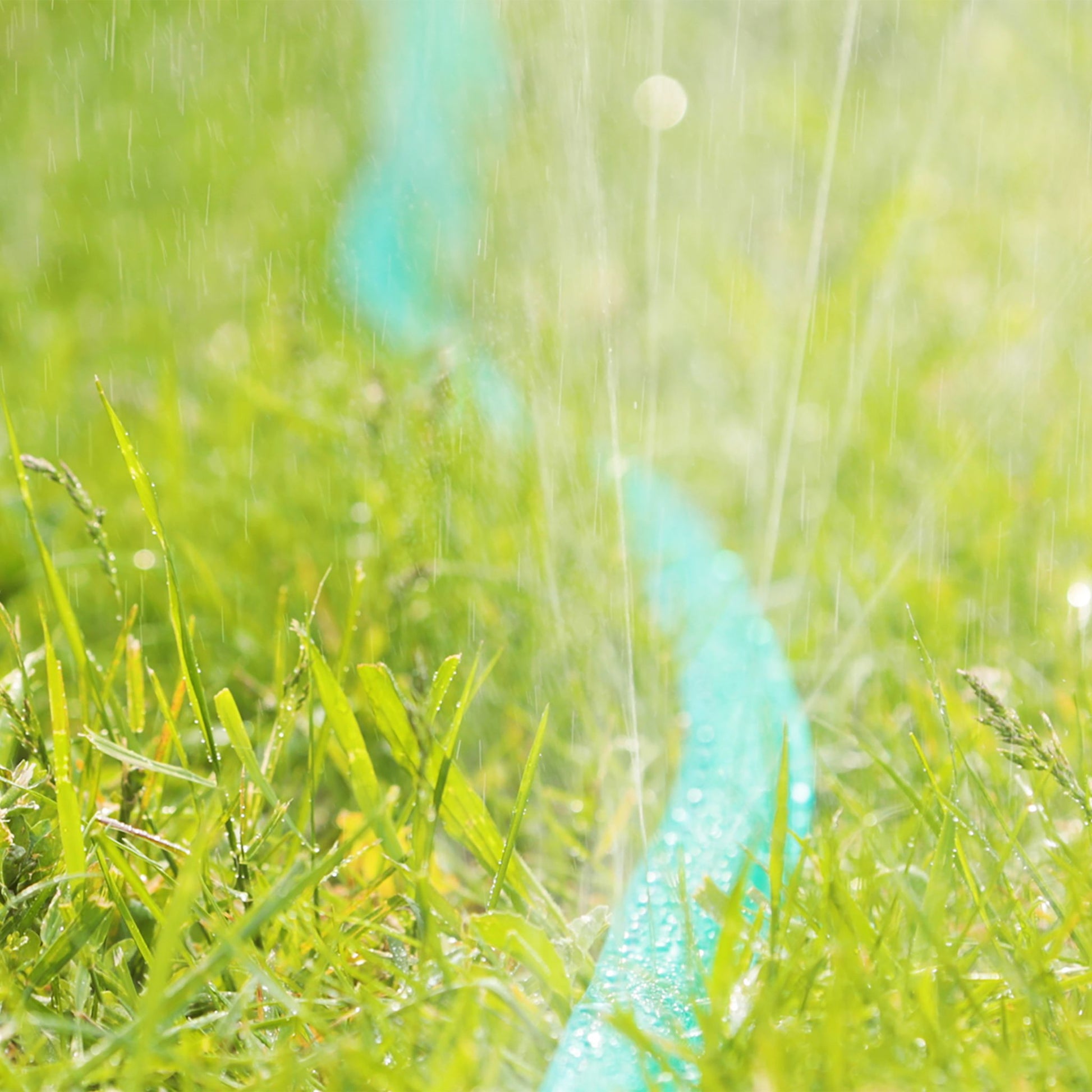 Flacher Bewässerungsschlauch 20 m Grün von Relaxdays