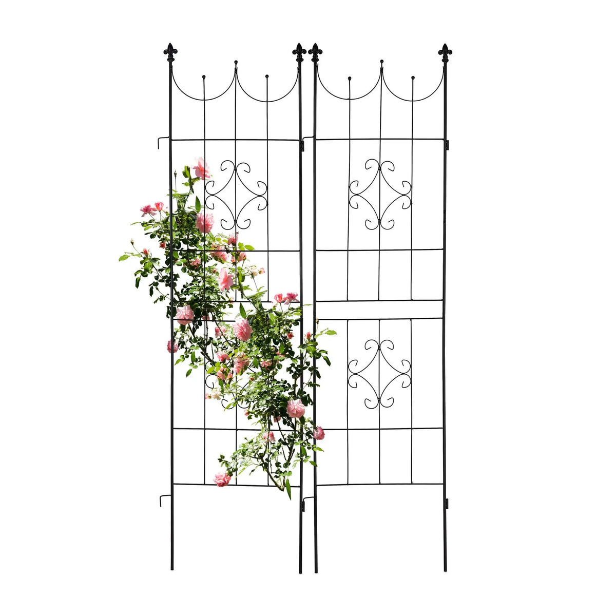 Rankgitter Metall 2er-Set Schwarz von Relaxdays