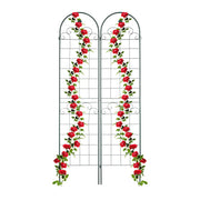 Rankgitter 2er-Set 220cm Dunkelgrün von Relaxdays
