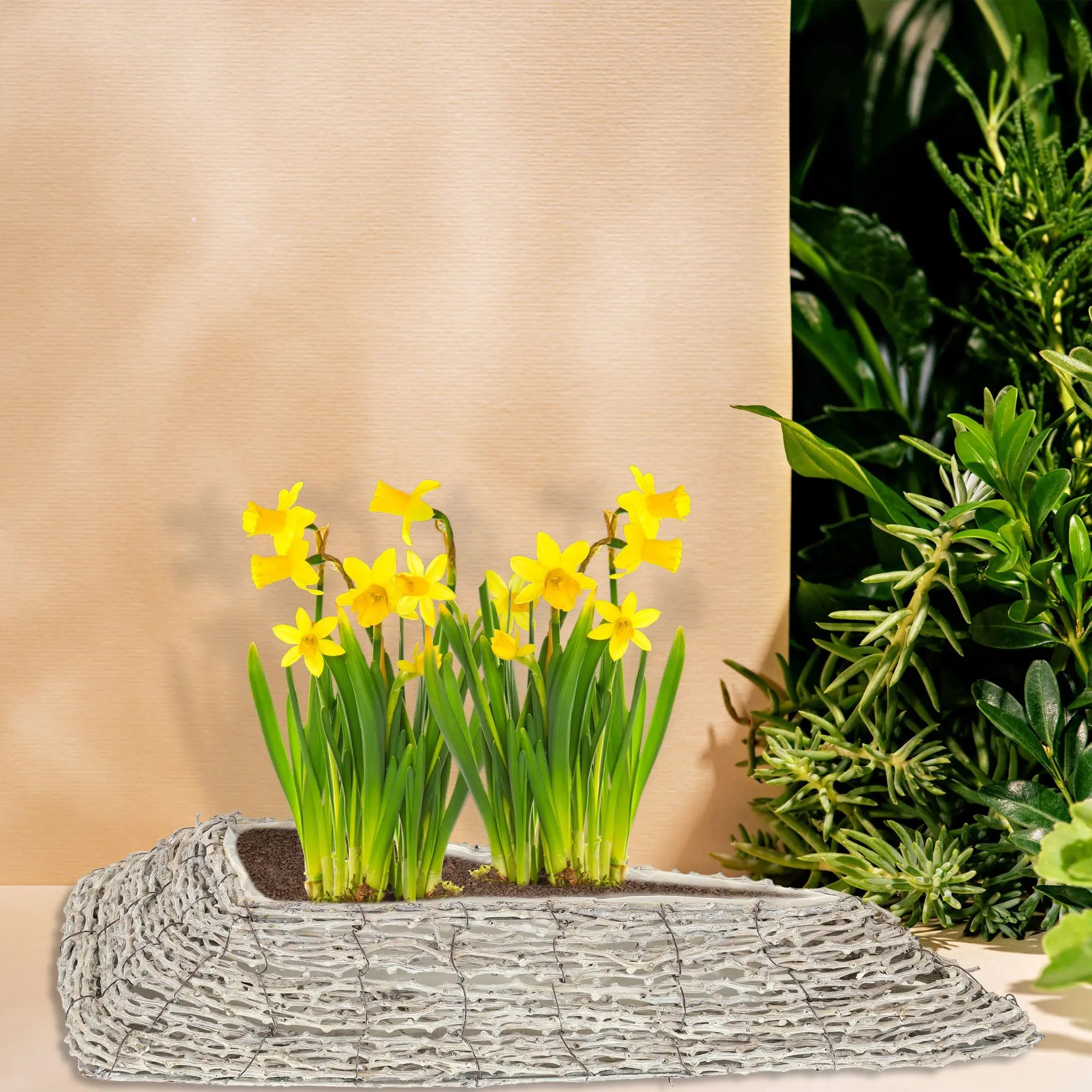 Dreieckiger Blumentopf 2er-Set Weiss-Hellbraun von Relaxdays