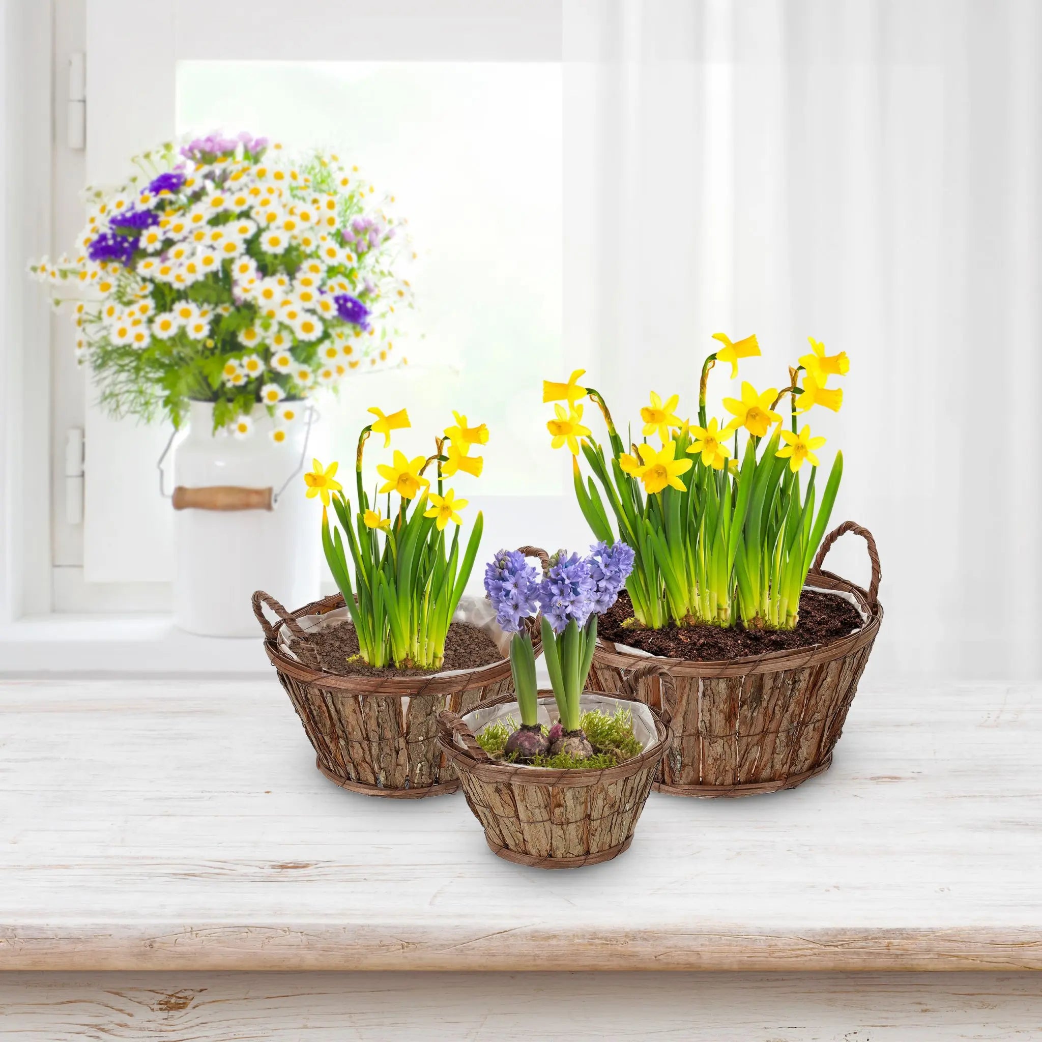 Runder Blumentopf Holz 3er-Set Weiss-Braun von Relaxdays