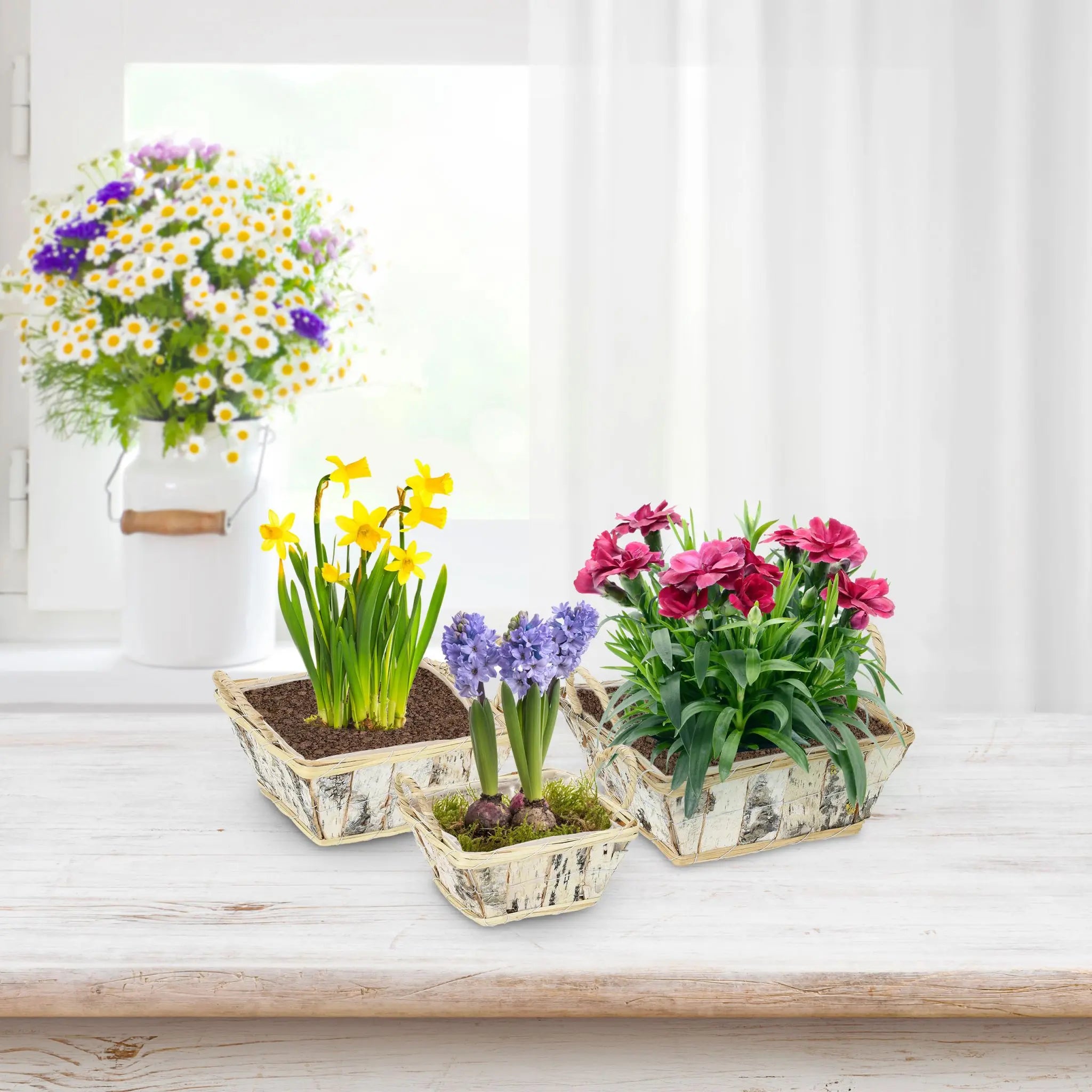 Eckiger Blumentopf Birke 3er-Set Weiss-Hellbraun-Schwarz von Relaxdays