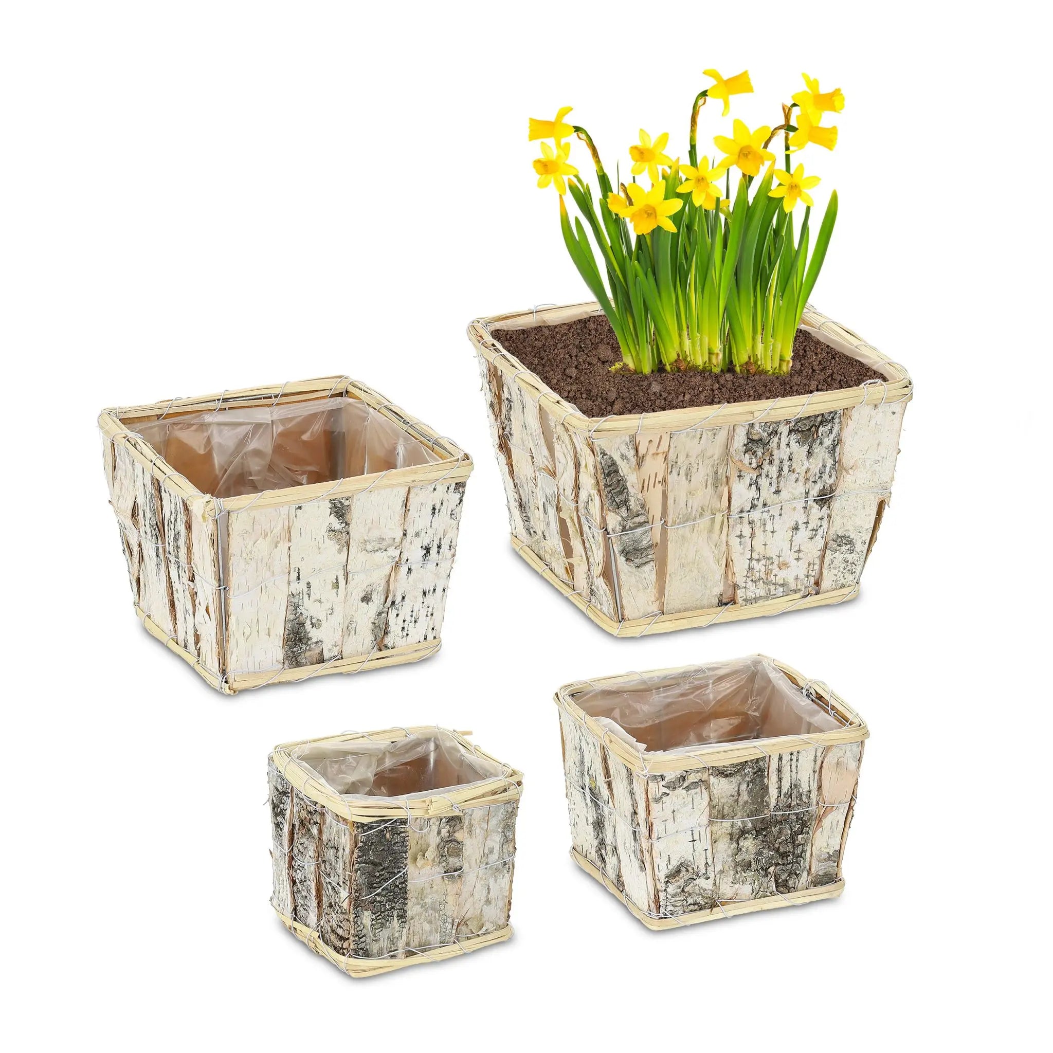 Eckiger Blumentopf Birke 4er-Set Weiss-Hellbraun-Schwarz von Relaxdays