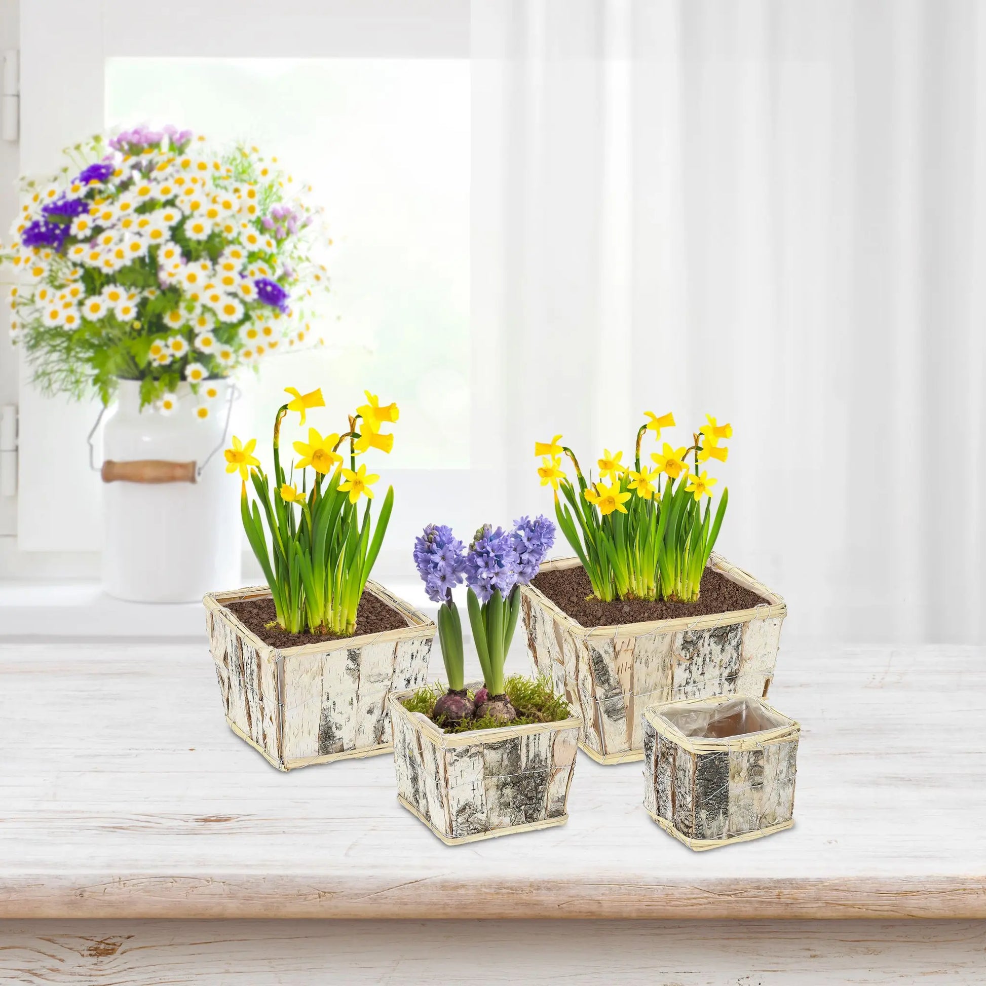 Eckiger Blumentopf Birke 4er-Set Weiss-Hellbraun-Schwarz von Relaxdays