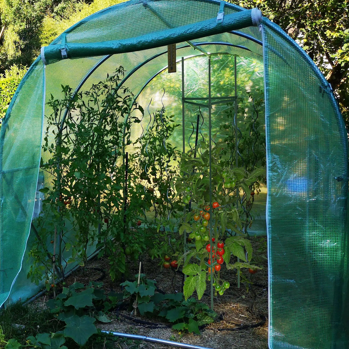 Rankhilfe 4er-Set 150cm Dunkelgrün von Relaxdays