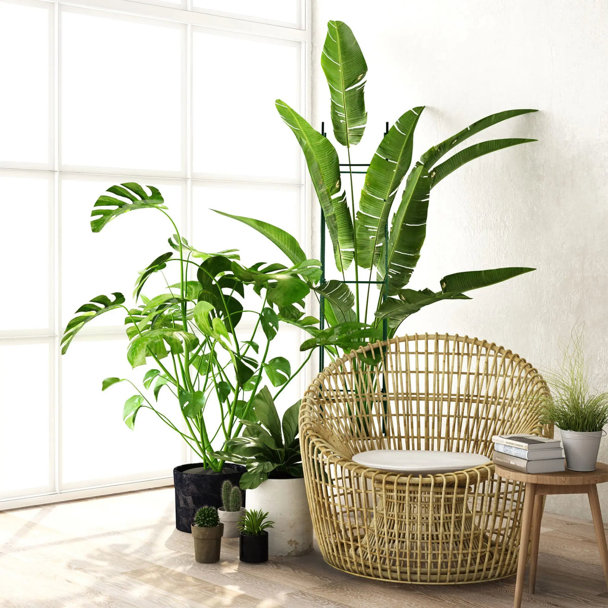 Rankhilfe 4er-Set 150cm Dunkelgrün von Relaxdays