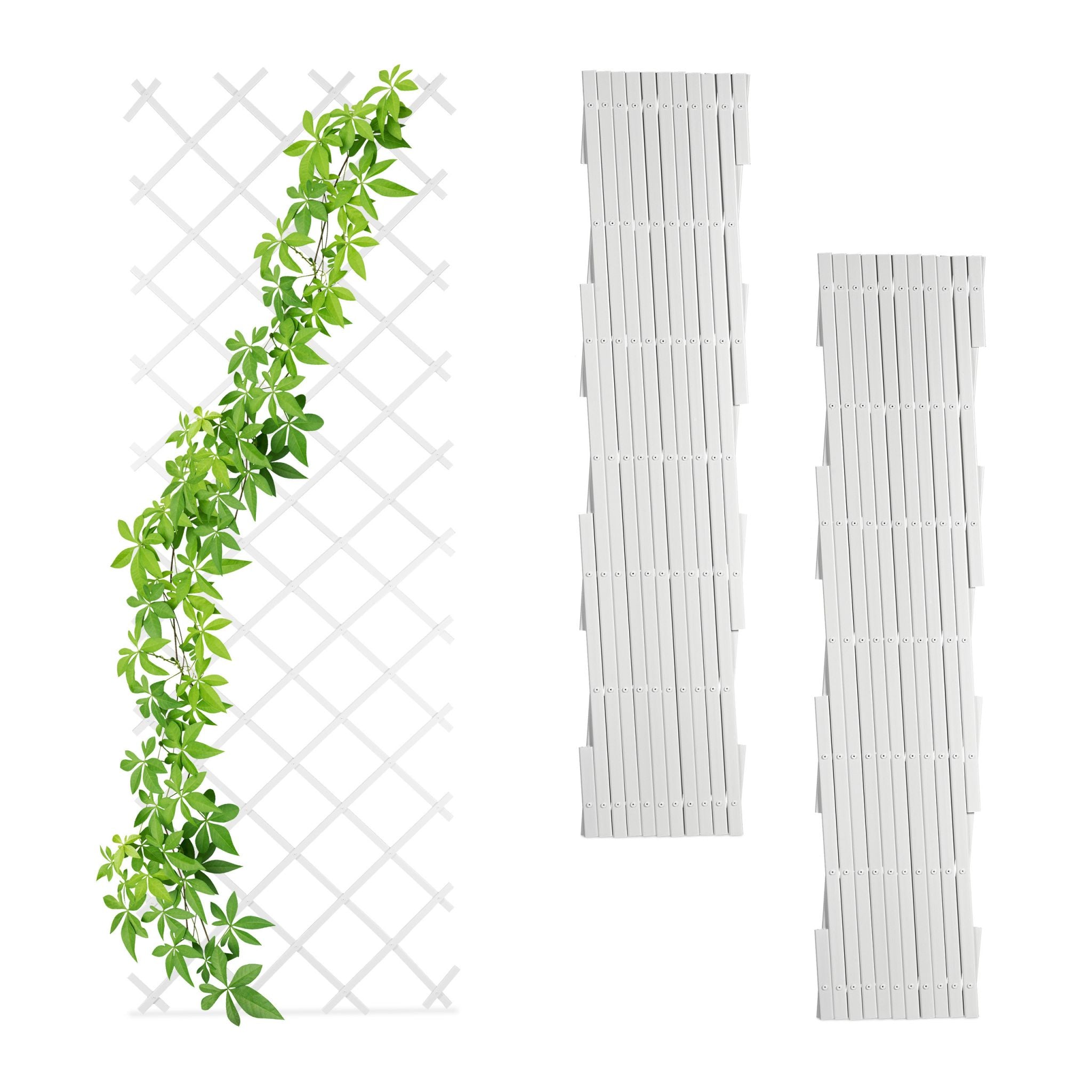 Ausziehbares Rankgitter 3er-Set 250cm Weiss von Relaxdays