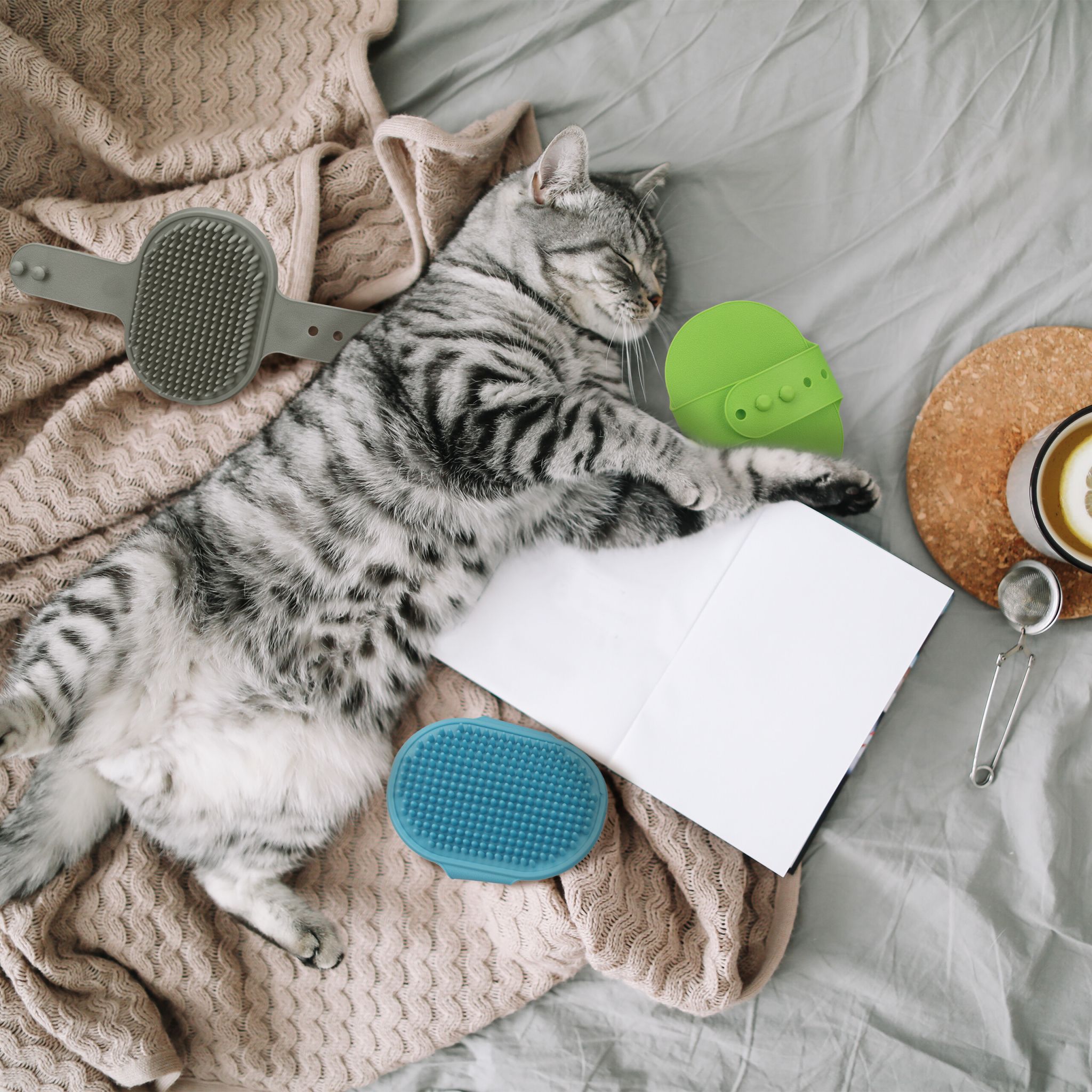 Massagebürste Hund & Katze 3er-Set Blau-Grün-Grau von Relaxdays