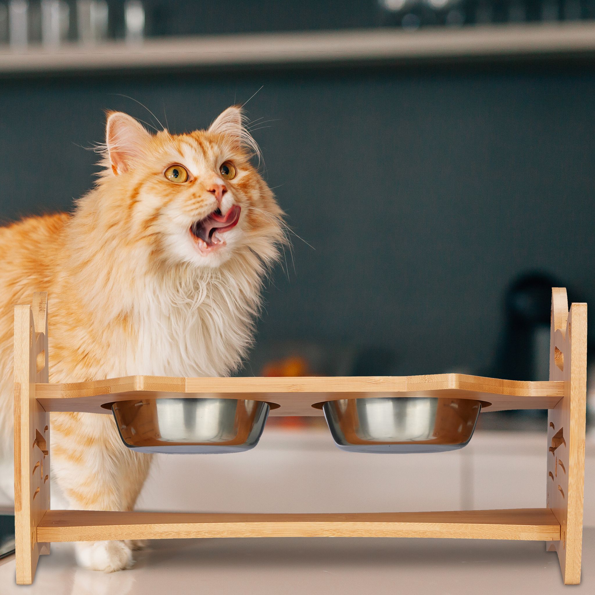 Höhenverstellbare Futterstation Katze Hellbraun-Silber von Relaxdays