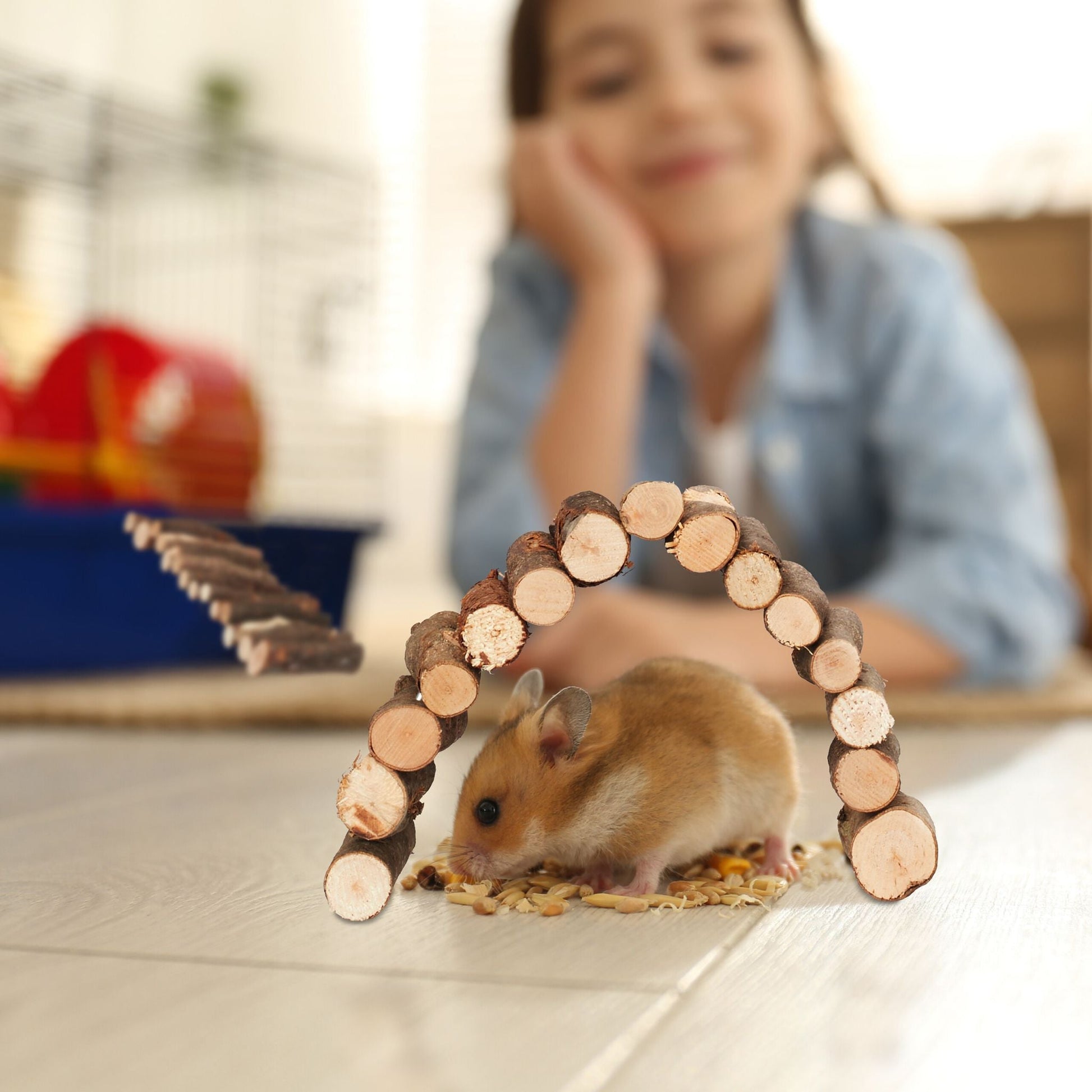 Nagerbrücke Holz 2er-Set Braun von Relaxdays