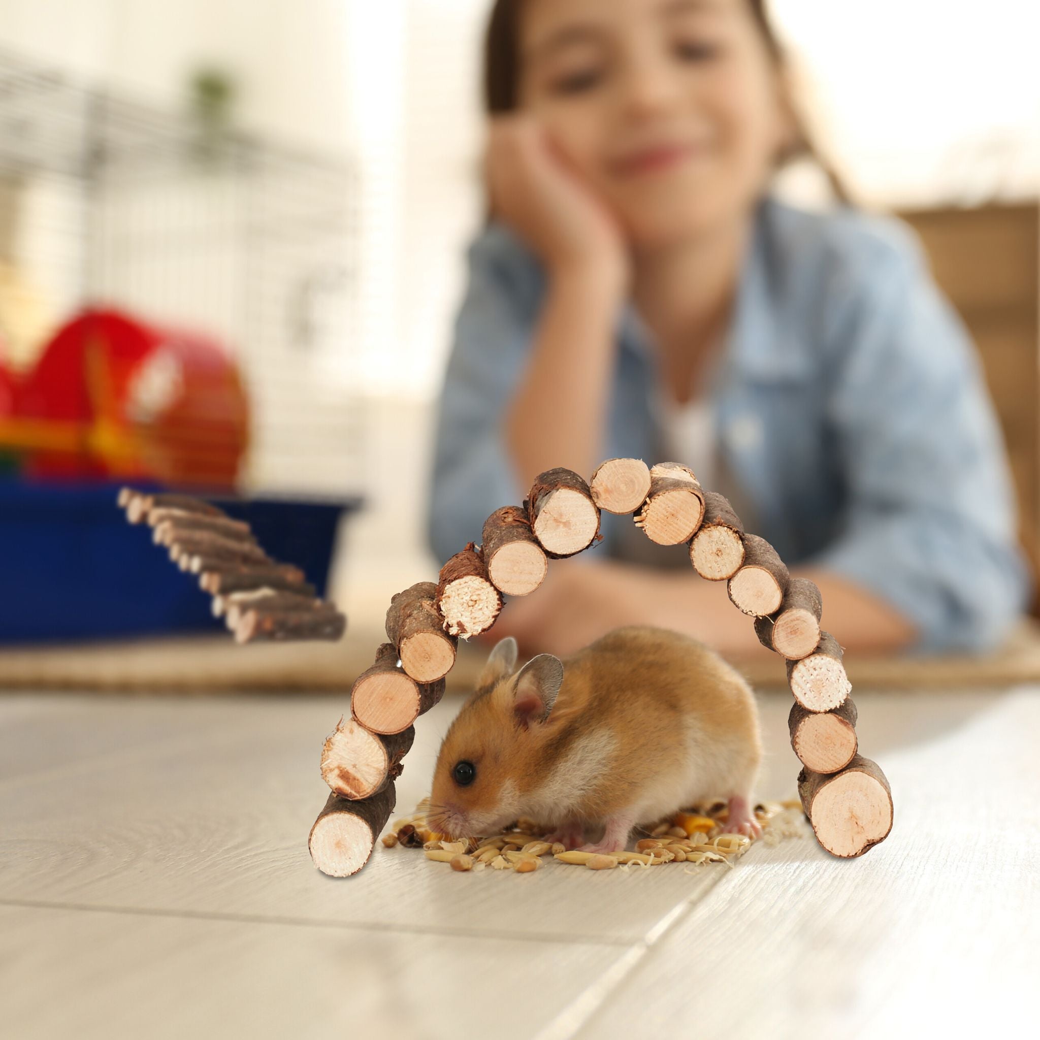 Nagerbrücke Holz 2er-Set Braun von Relaxdays
