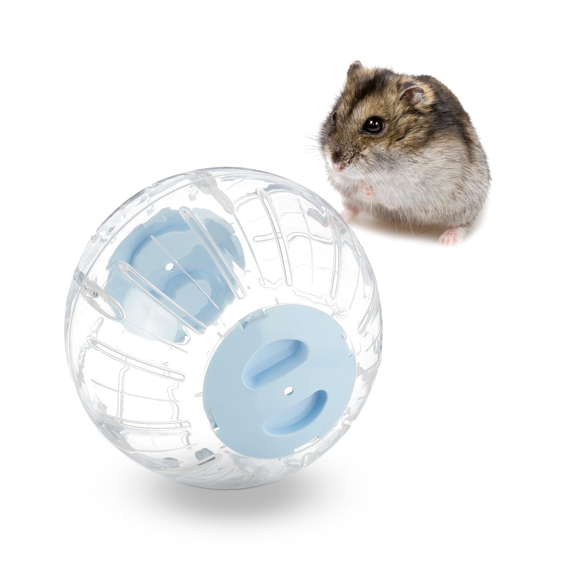 Hamsterball mit hellblauem Deckel Hellblau-Transparent von Relaxdays