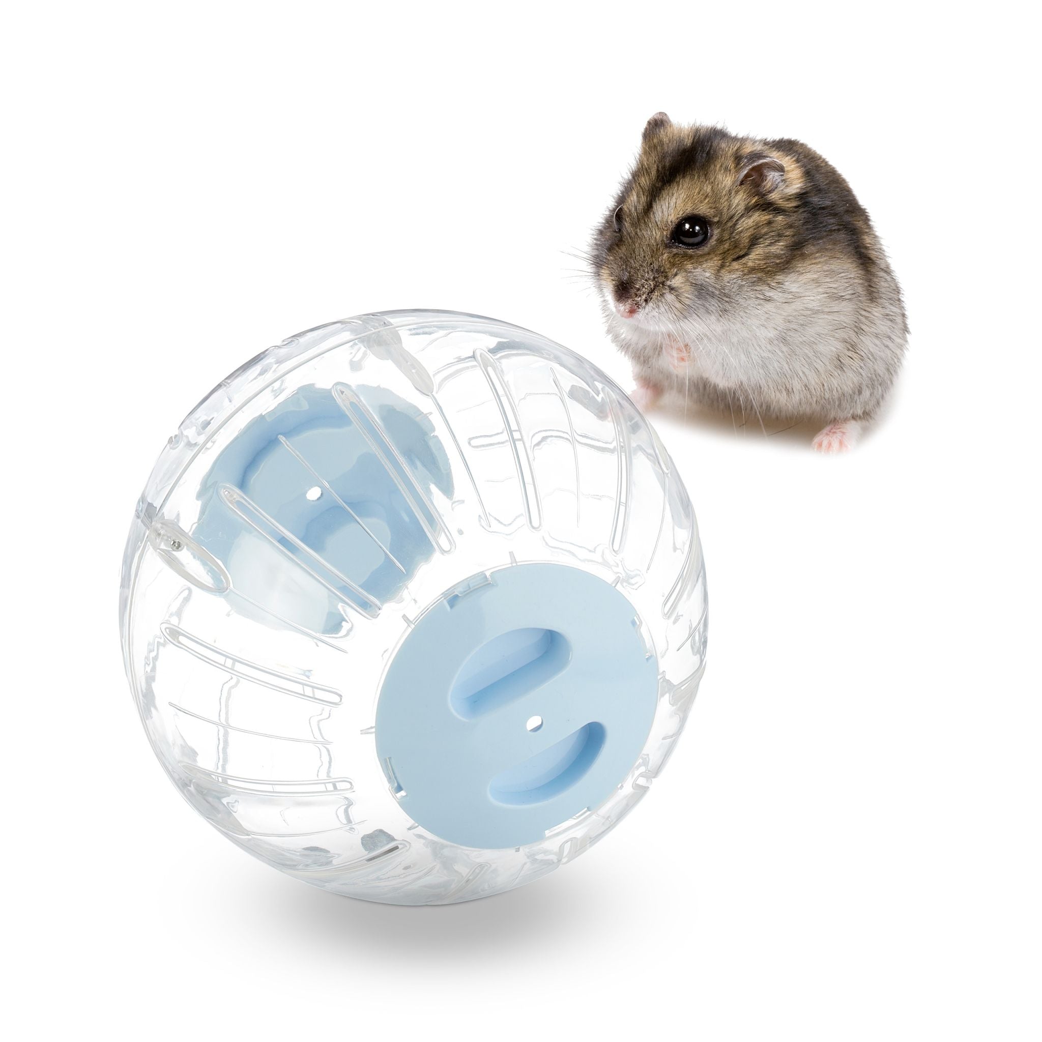 Hamsterball mit hellblauem Deckel Hellblau-Transparent von Relaxdays